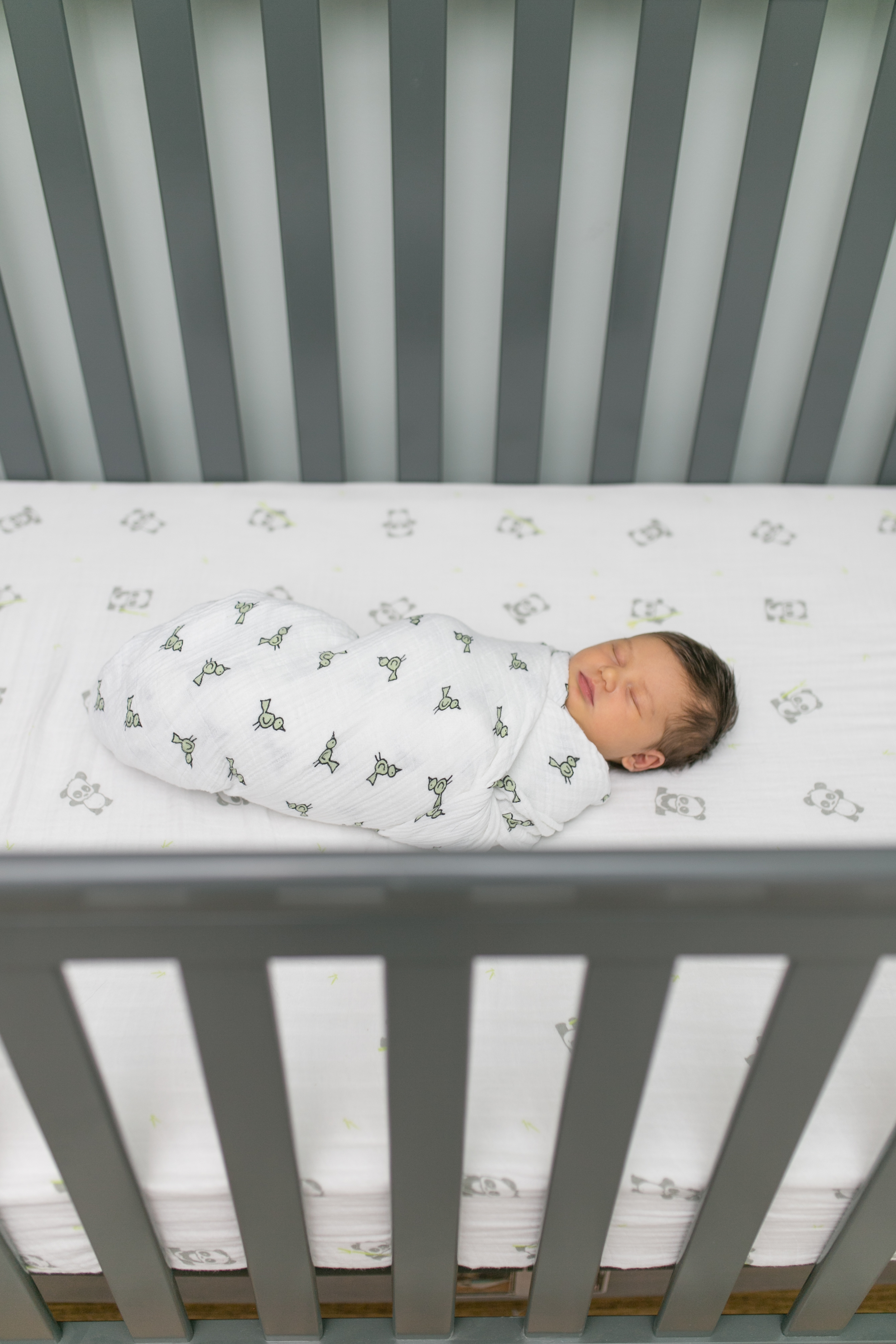 vanessa wyler brookfield pewaukee lifestyle newborn photography photos
