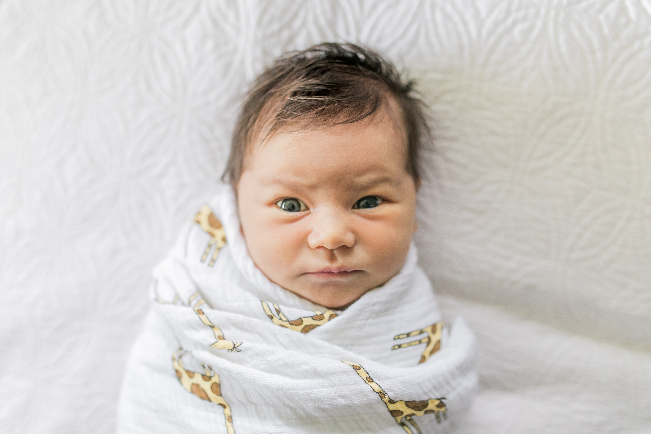 vanessa wyler brookfield pewaukee lifestyle newborn photography photos