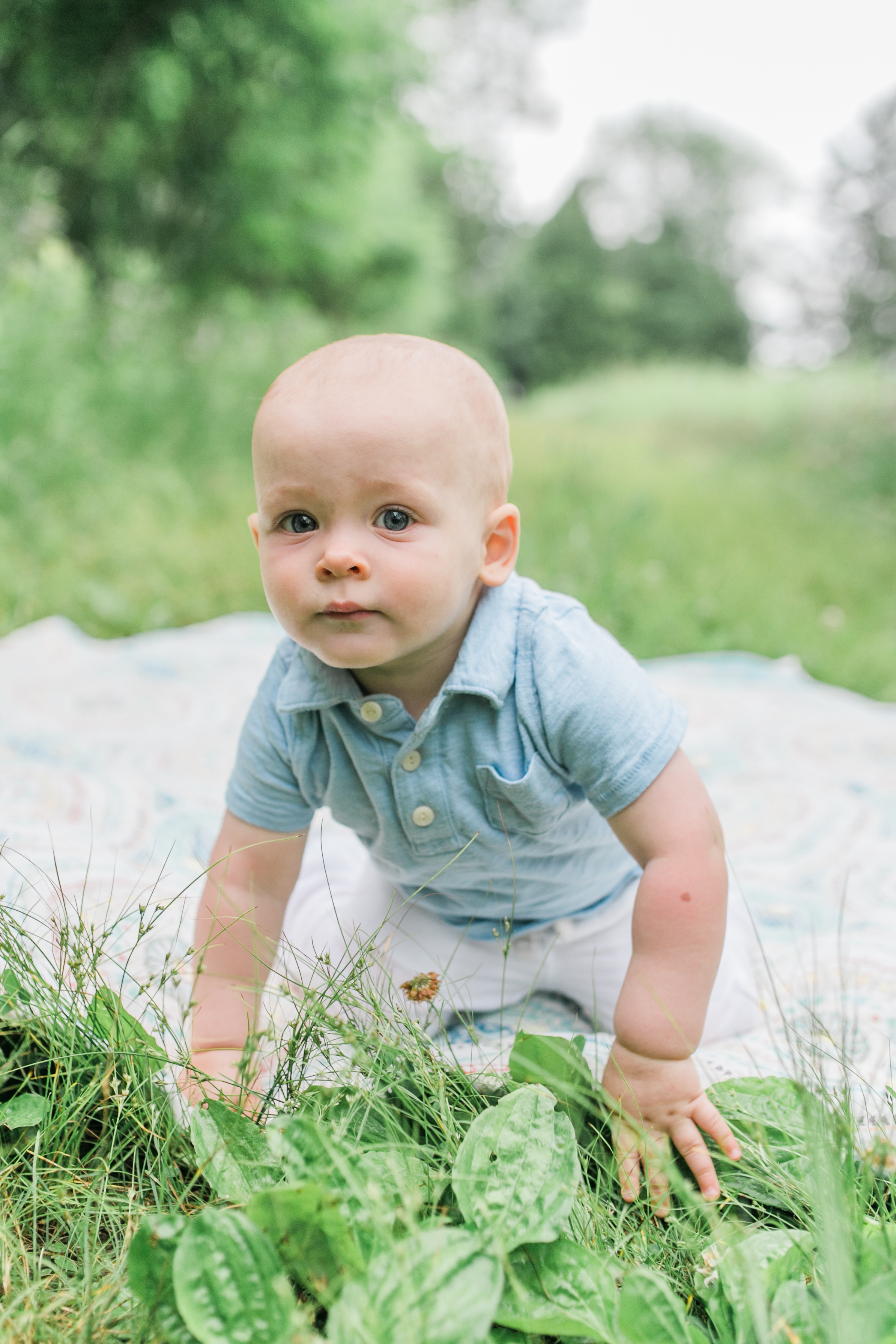 vanessa wyler pewaukee photographer one year old photos