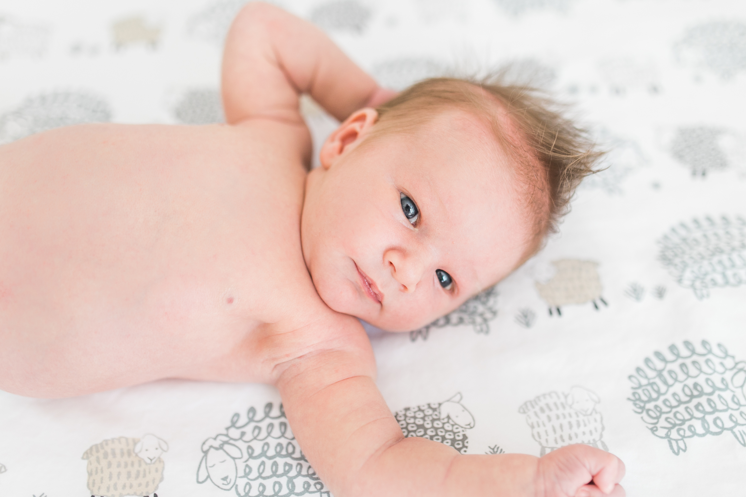 vanessa wyler photography pewaukee oconomowoc newborn lifestyle photos light airy nursery baby animals