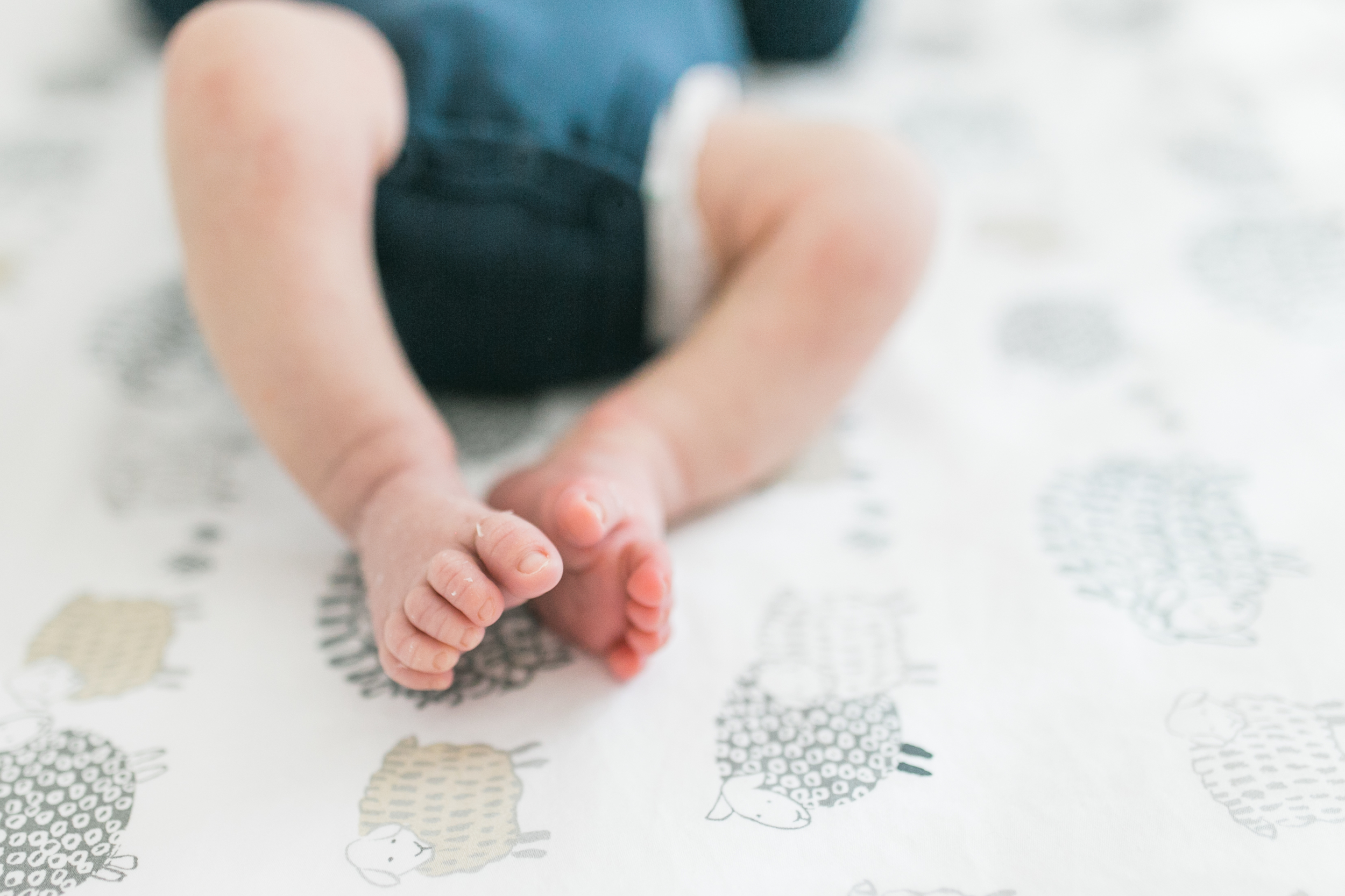 vanessa wyler photography pewaukee oconomowoc newborn lifestyle photos light airy nursery baby animals