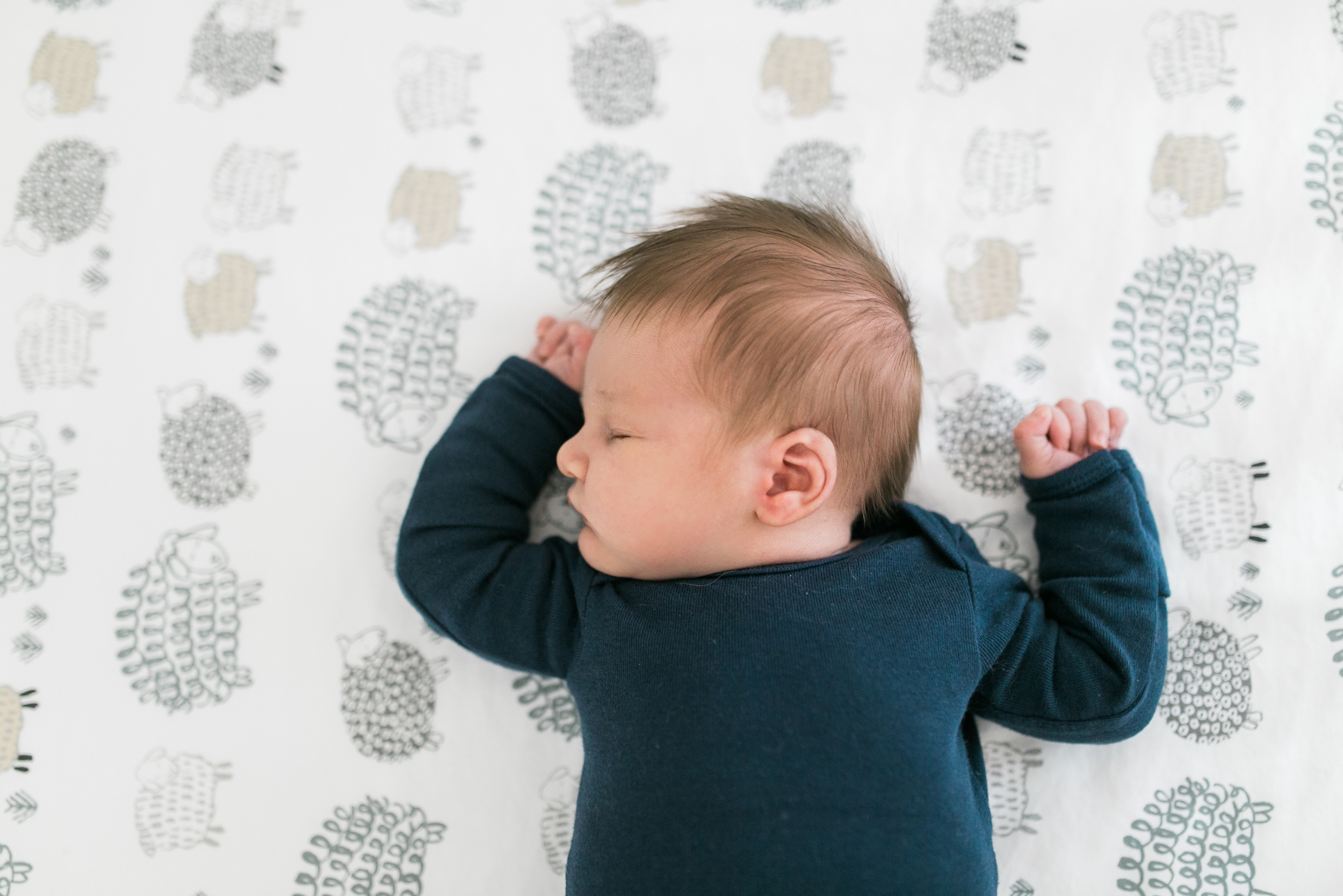 vanessa wyler photography pewaukee oconomowoc newborn lifestyle photos light airy nursery baby animals