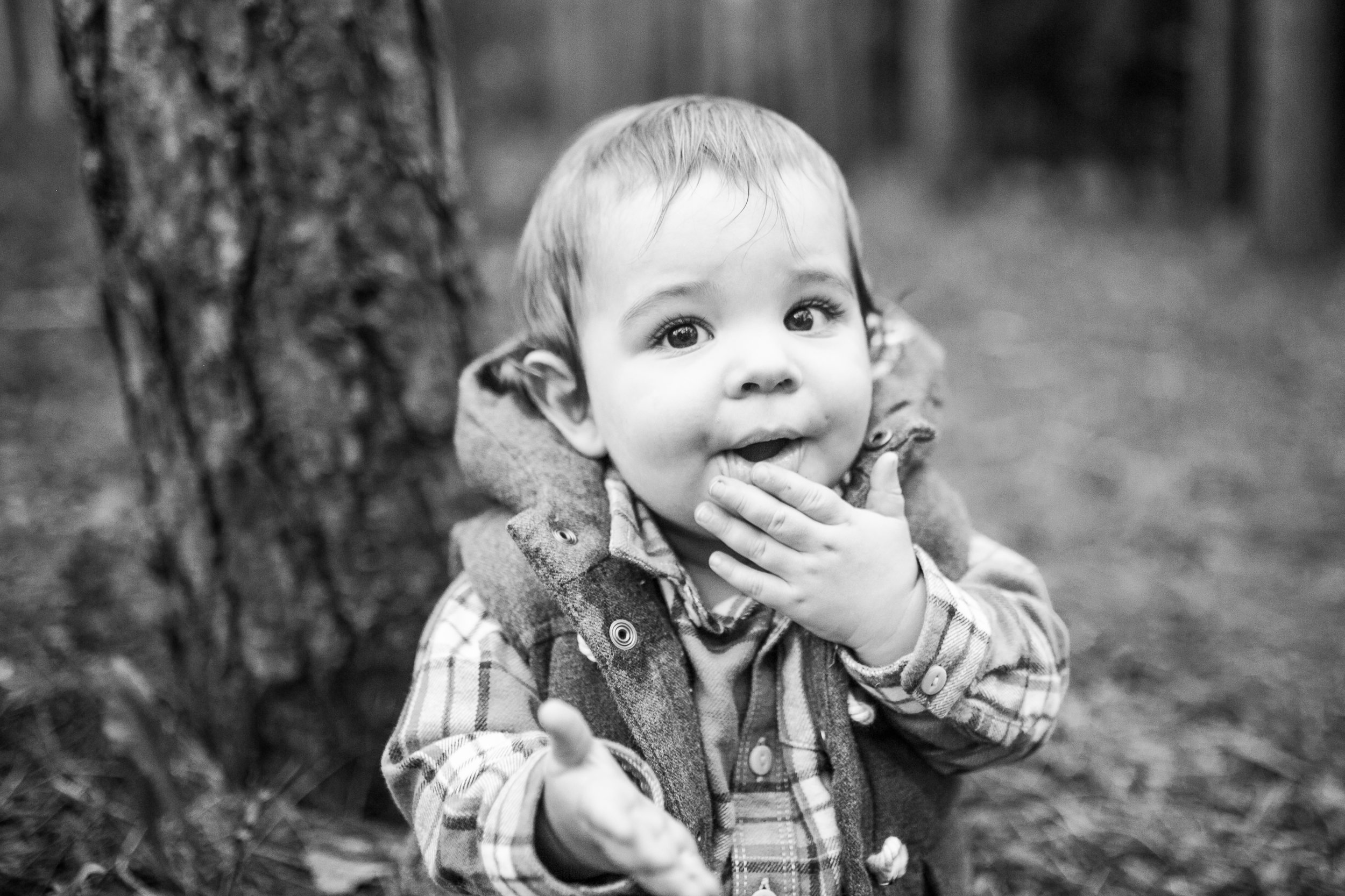 vanessa wyler pewaukee milestone one year old session