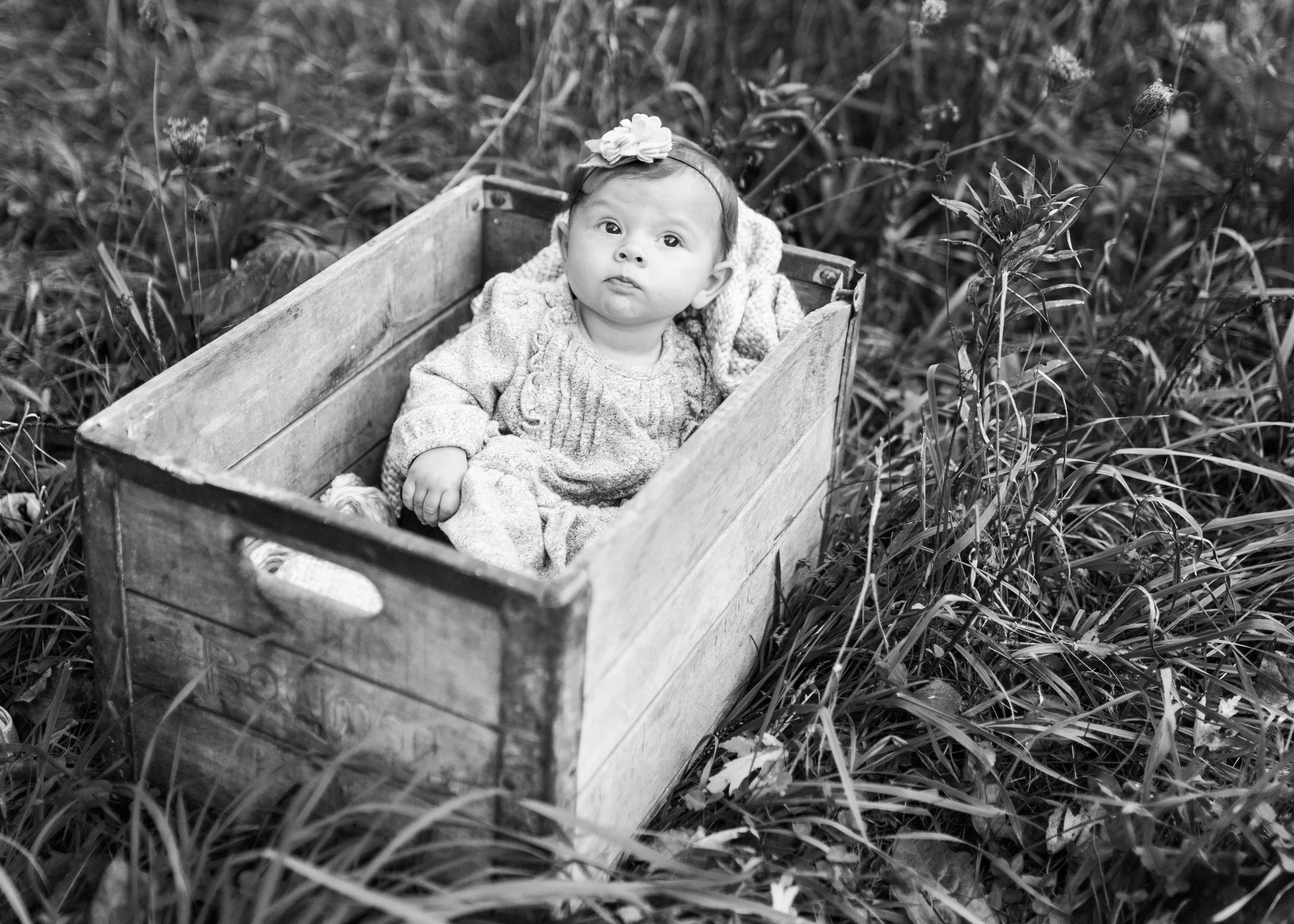 vanessa wyler pewaukee family photography retzer nature center