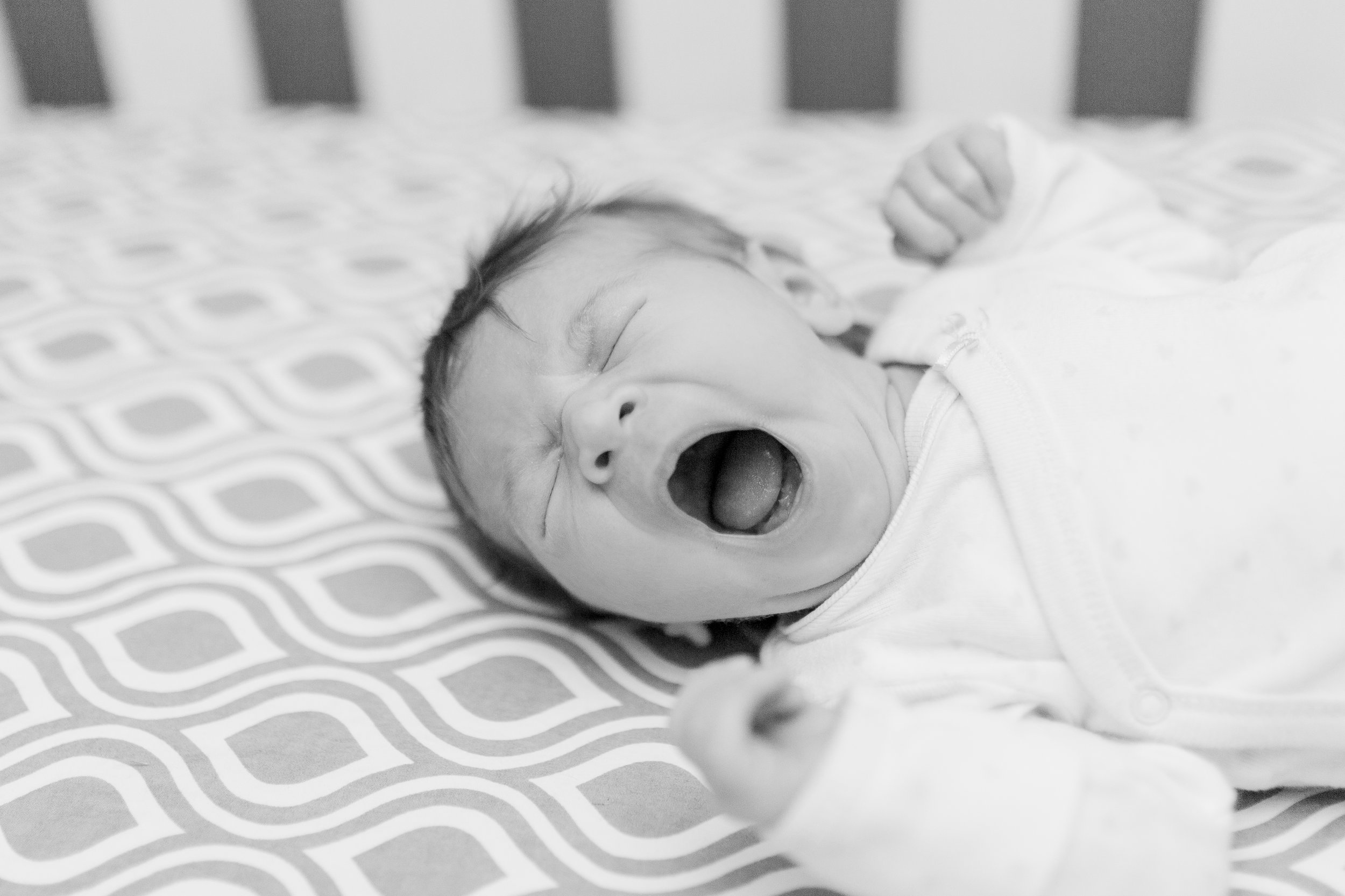waukesha-pewaukee-newborn-photography-vanessa-wyler