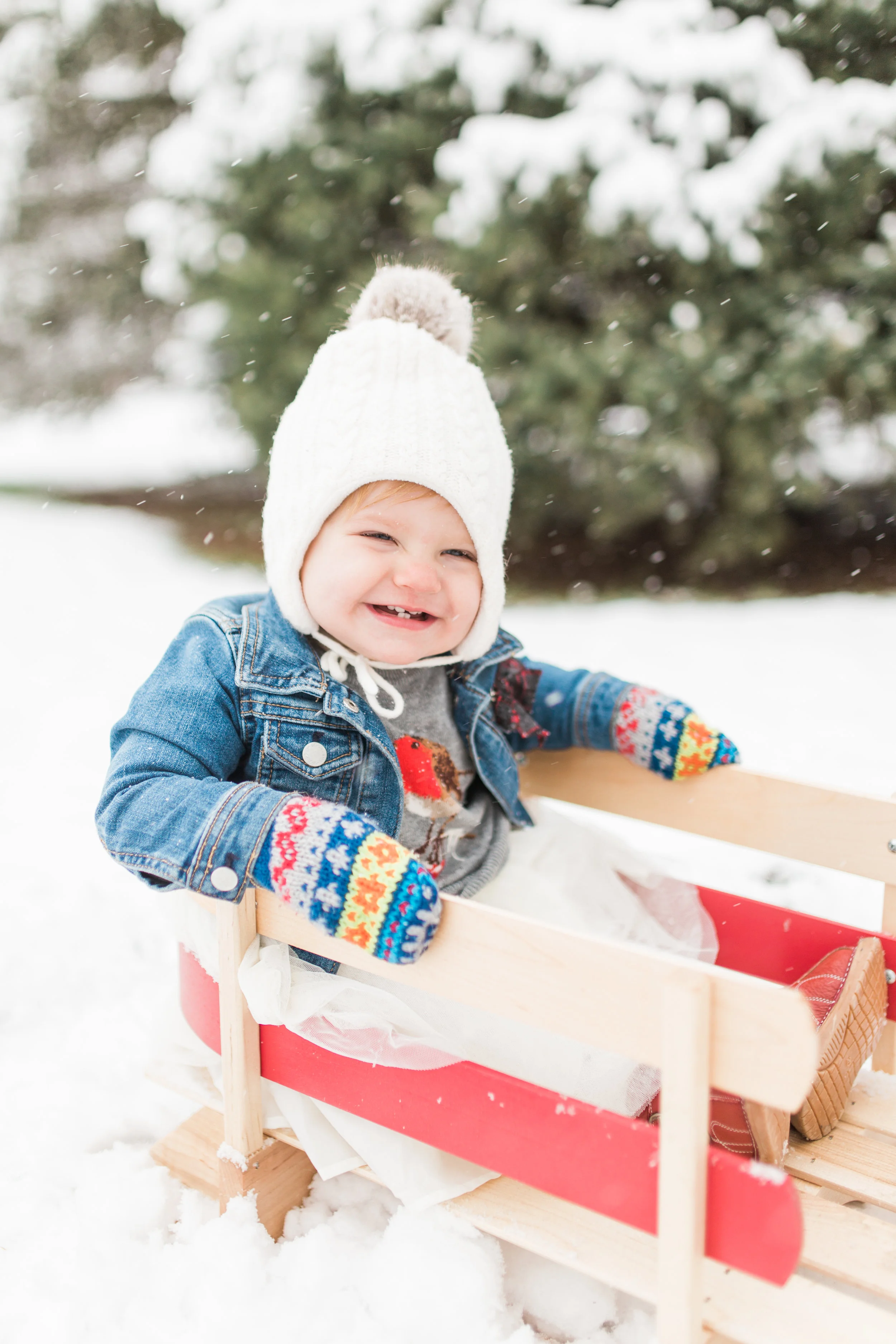 vanessa-wyler-photography-winter-snow-family-mini-session-sussex-wisconsin