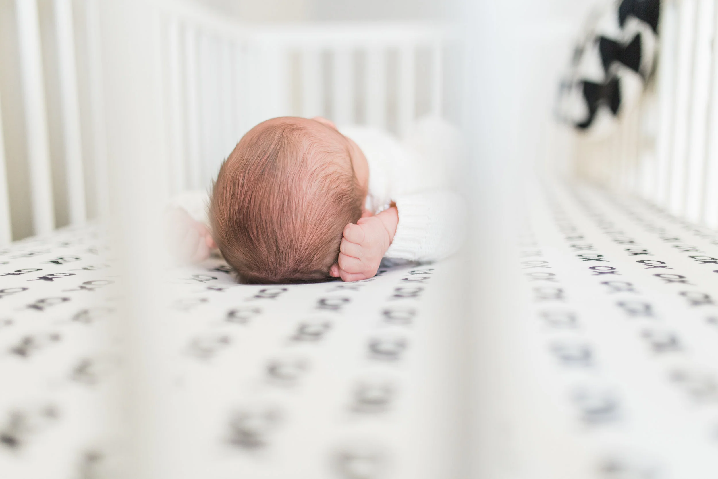vanessa wyler newborn in home photography pewaukee waukesha