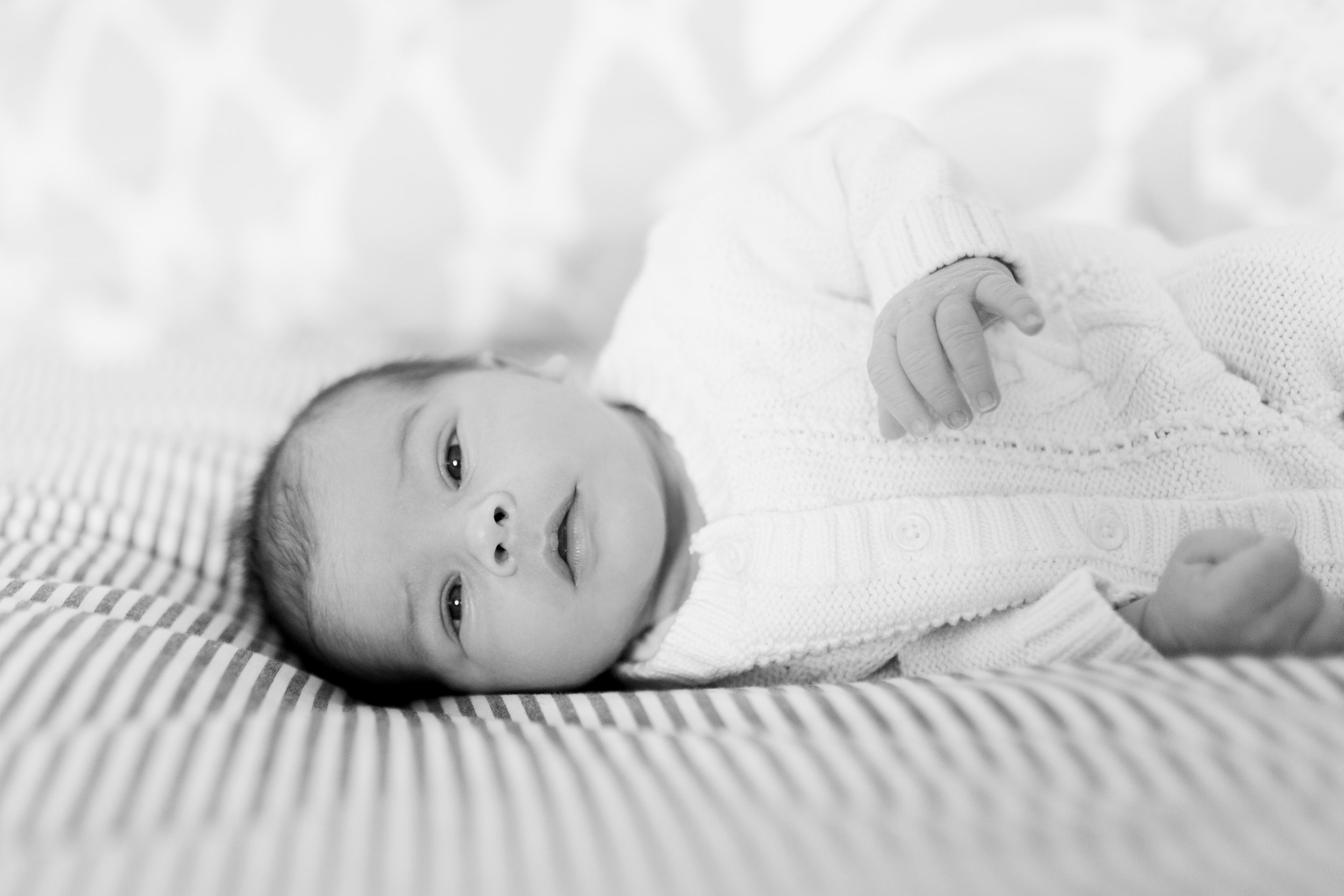 vanessa wyler newborn in home photography pewaukee waukesha