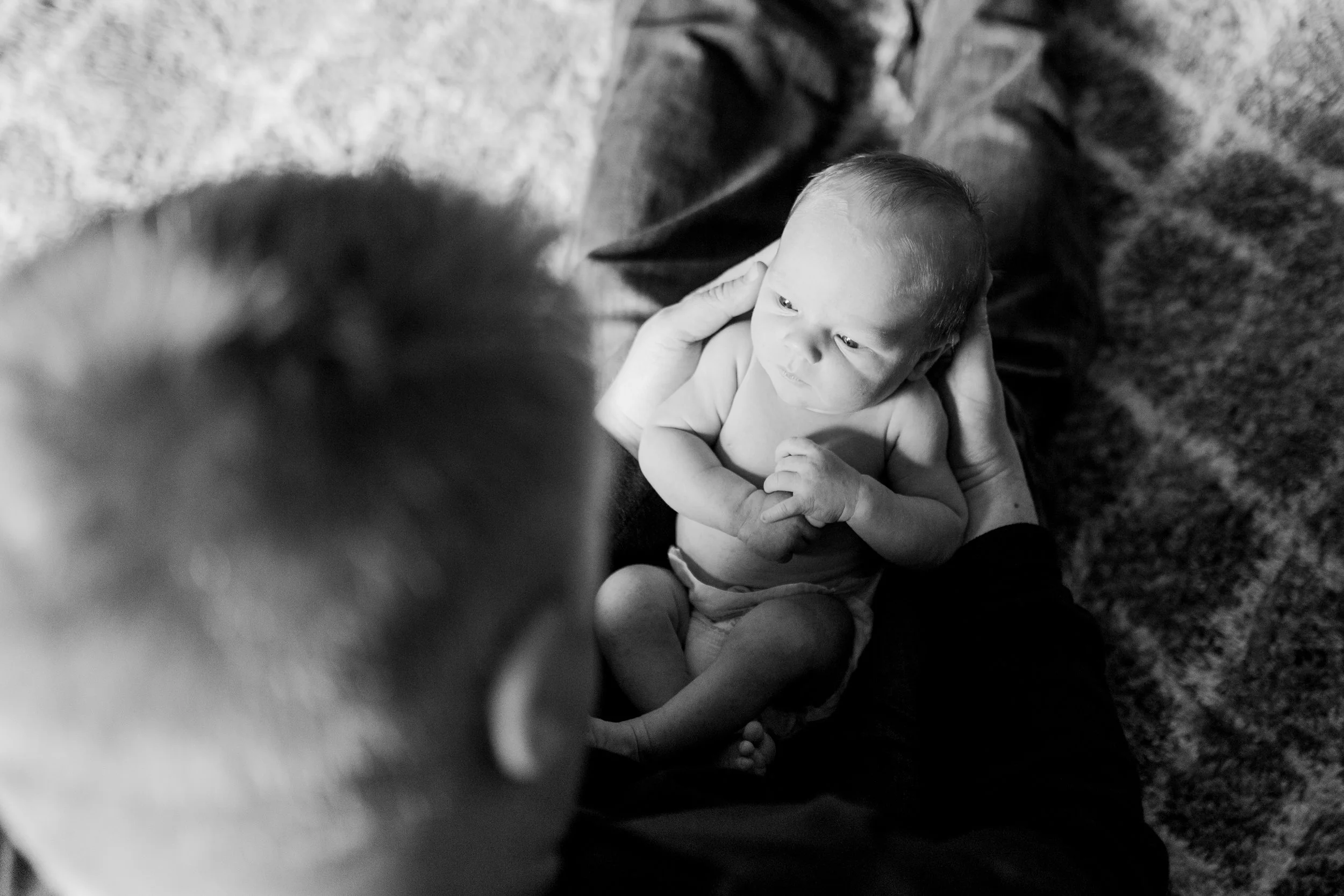 vanessa wyler lifestyle in home newborn photography waukesha milwaukee