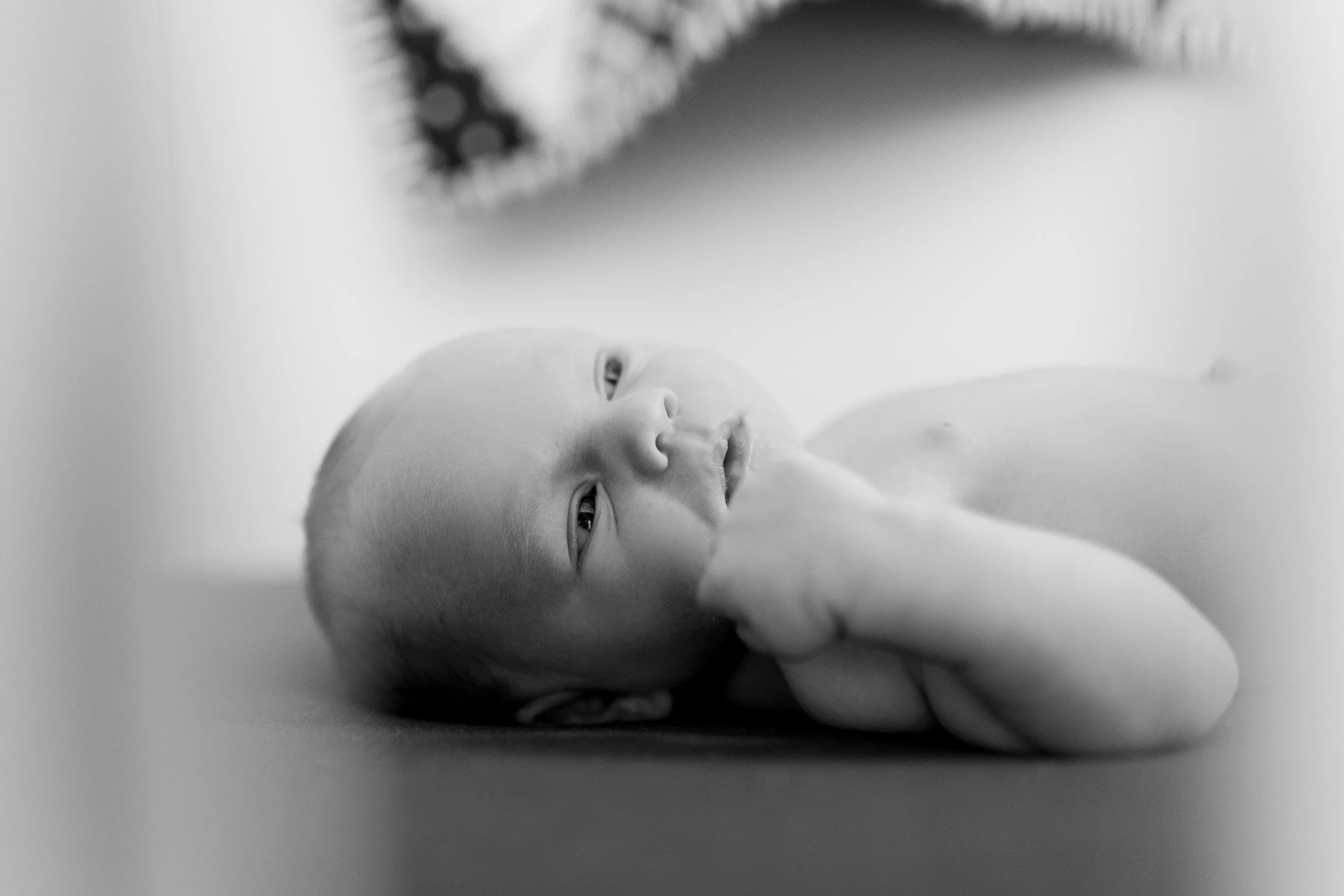 vanessa wyler lifestyle in home newborn photography waukesha milwaukee