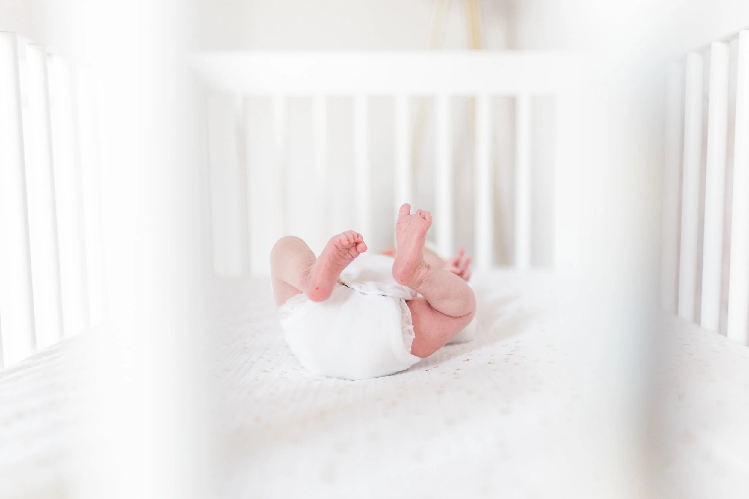 vanessa wyler waukesha newborn photography lifestyle floral nursery wallpaper