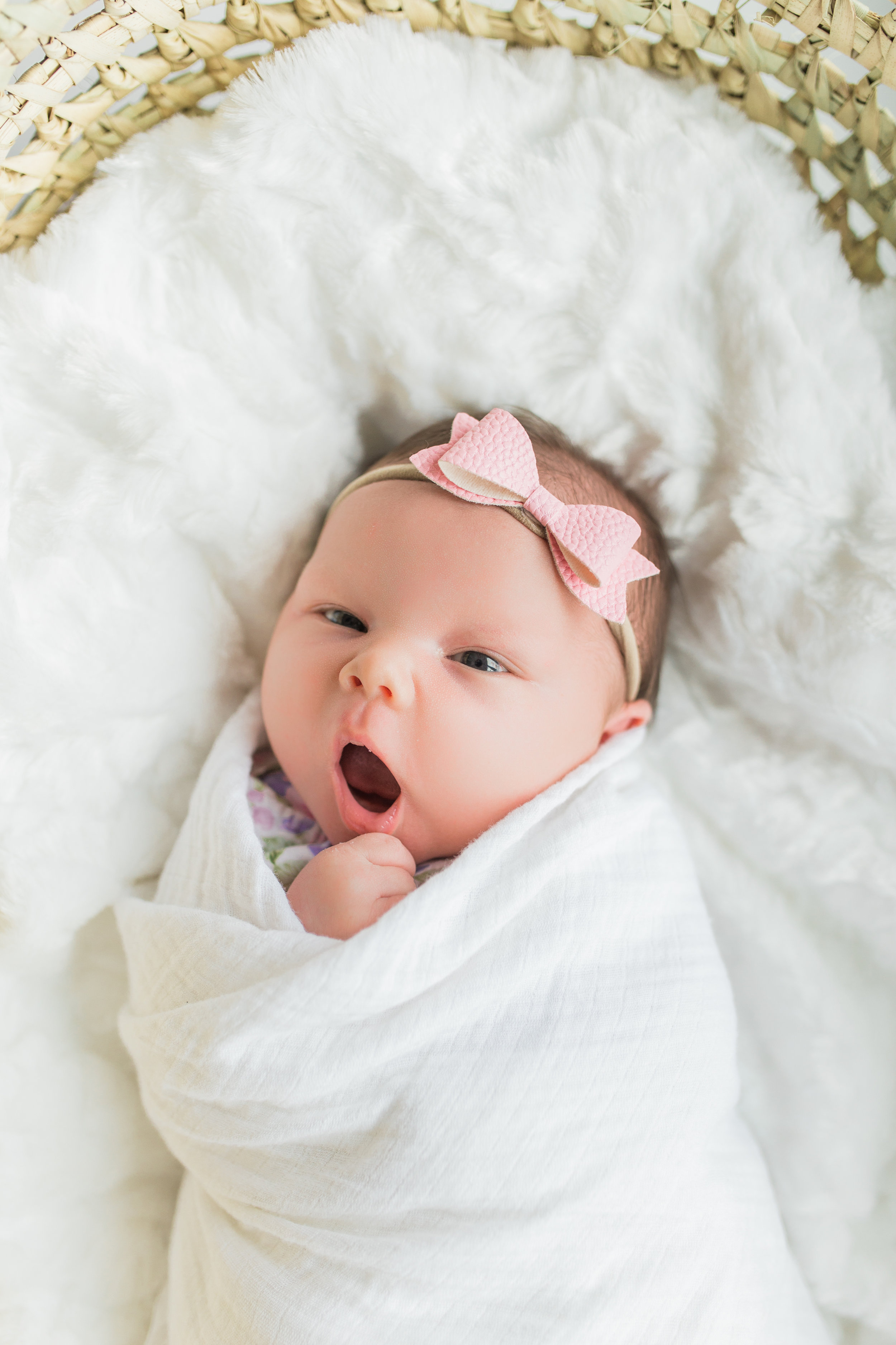 vanessa wyler newborn lifestyle in-home photography hartland pewaukee wi