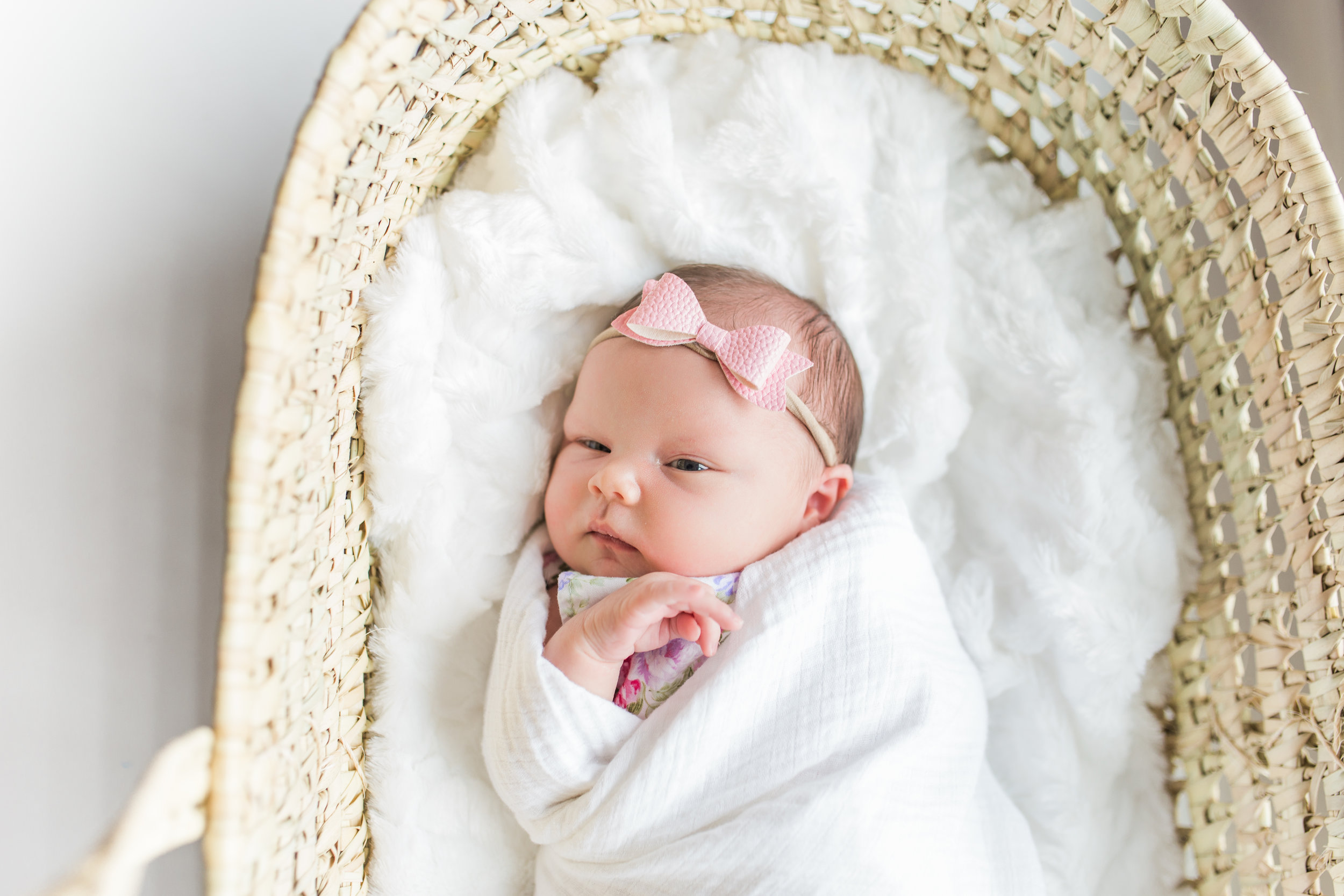 vanessa wyler newborn lifestyle in-home photography hartland pewaukee wi