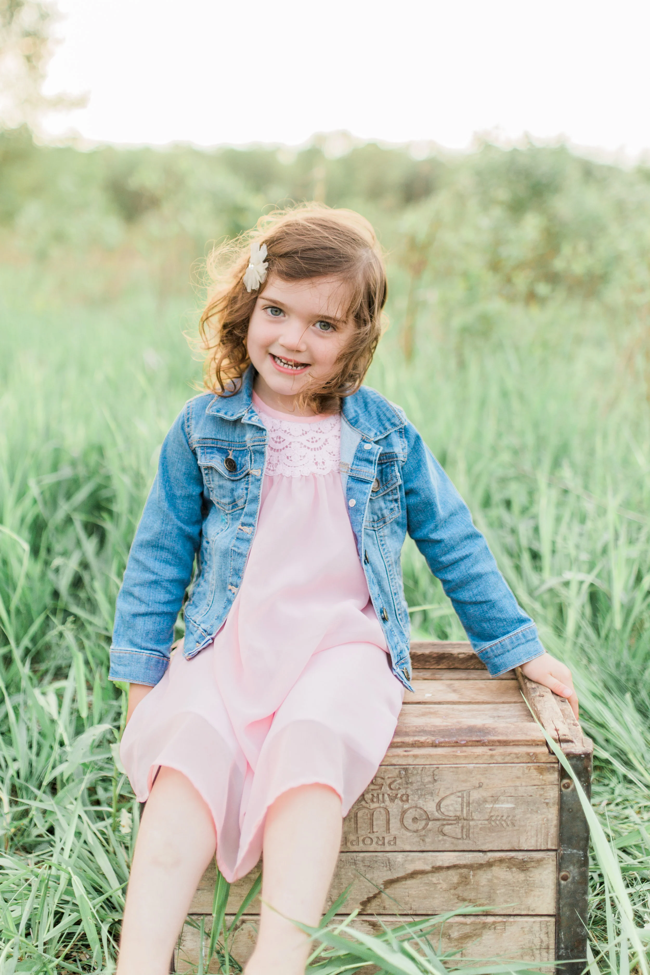 vanessa wyler brookfield waukesha sunset family photography