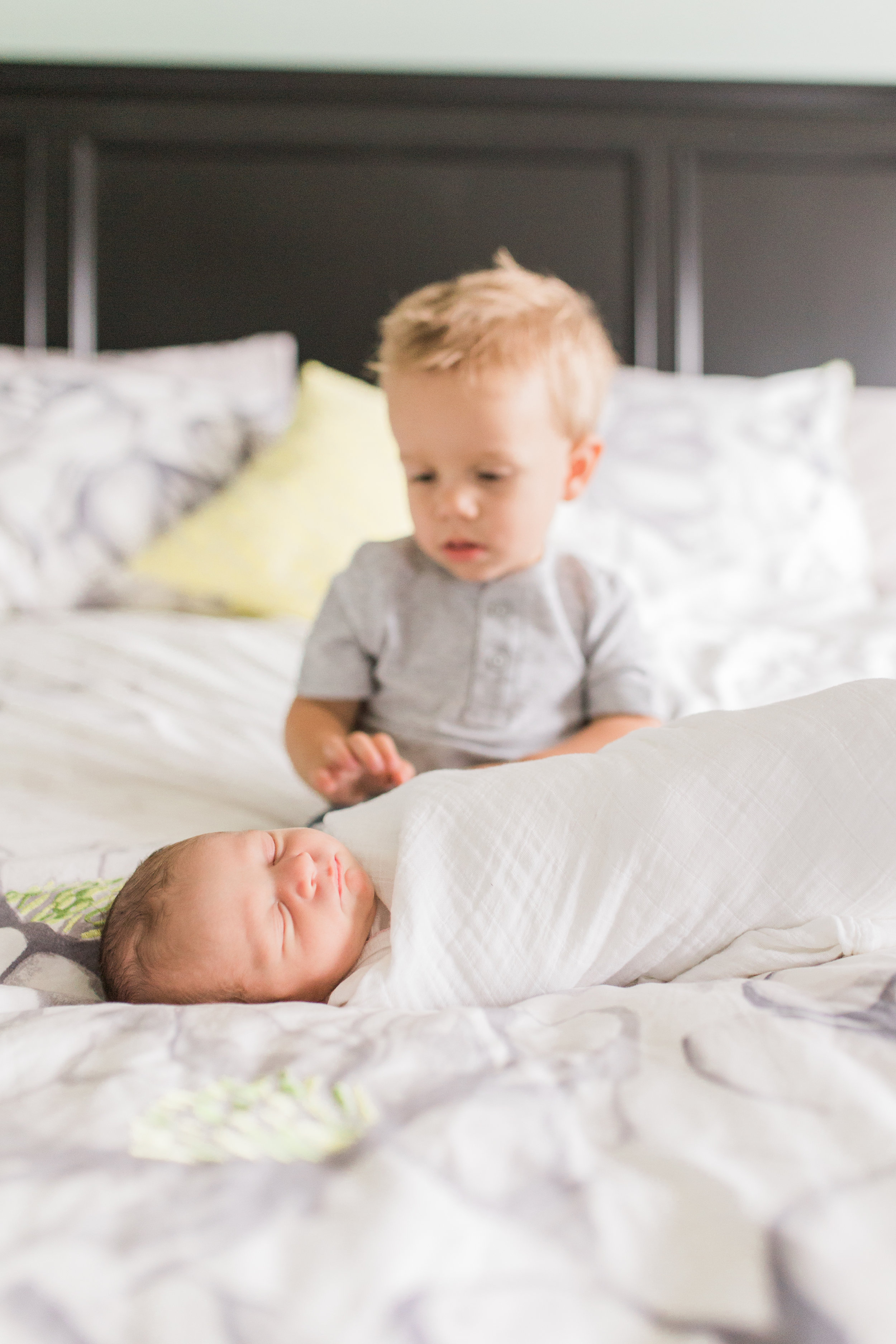 vanessa wyler newborn photography waukesha erin wisconsin