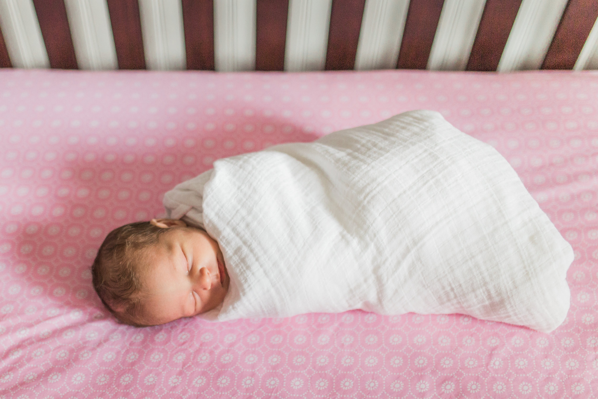 vanessa wyler newborn photography waukesha erin wisconsin