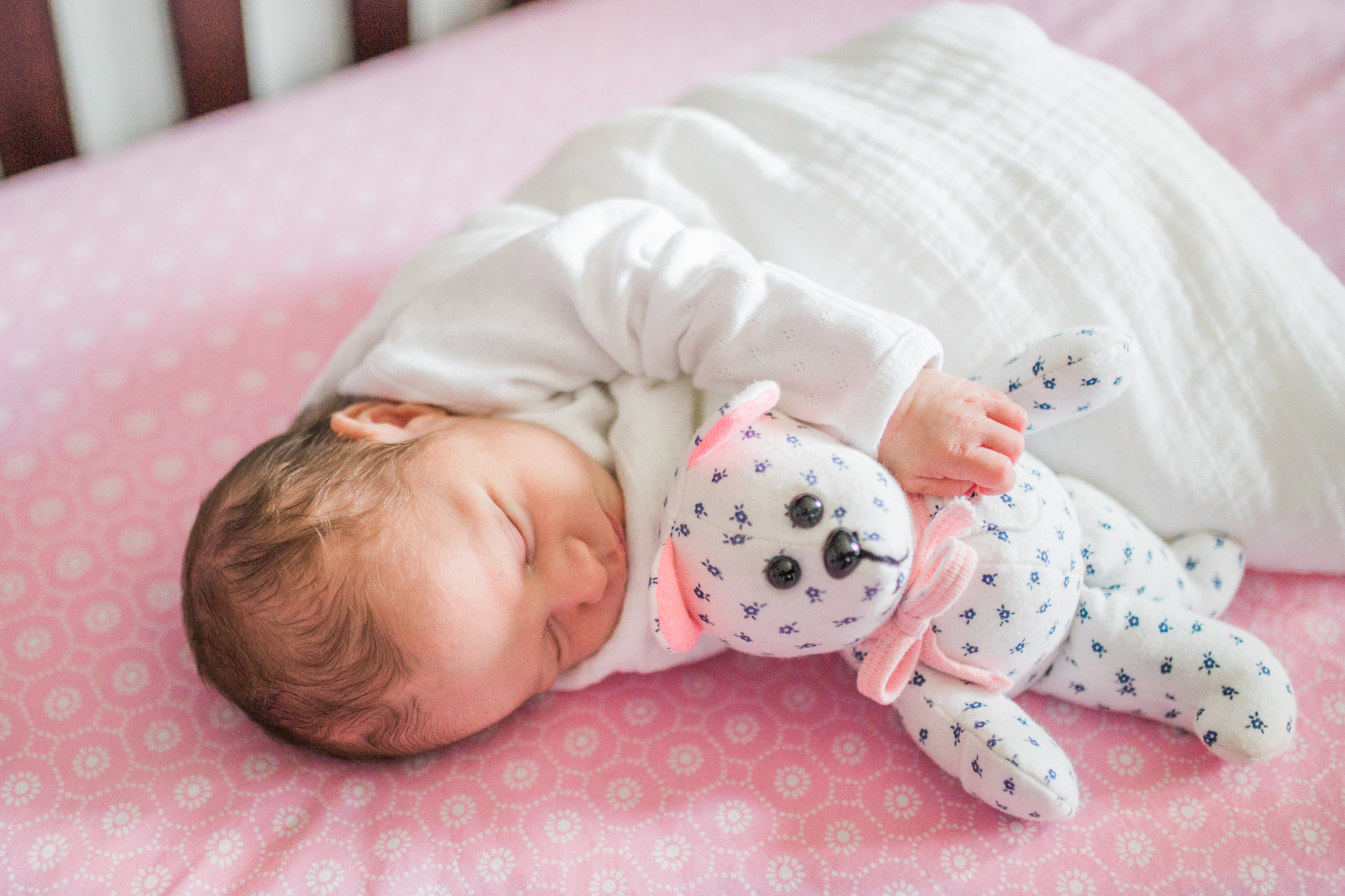 vanessa wyler newborn photography waukesha erin wisconsin