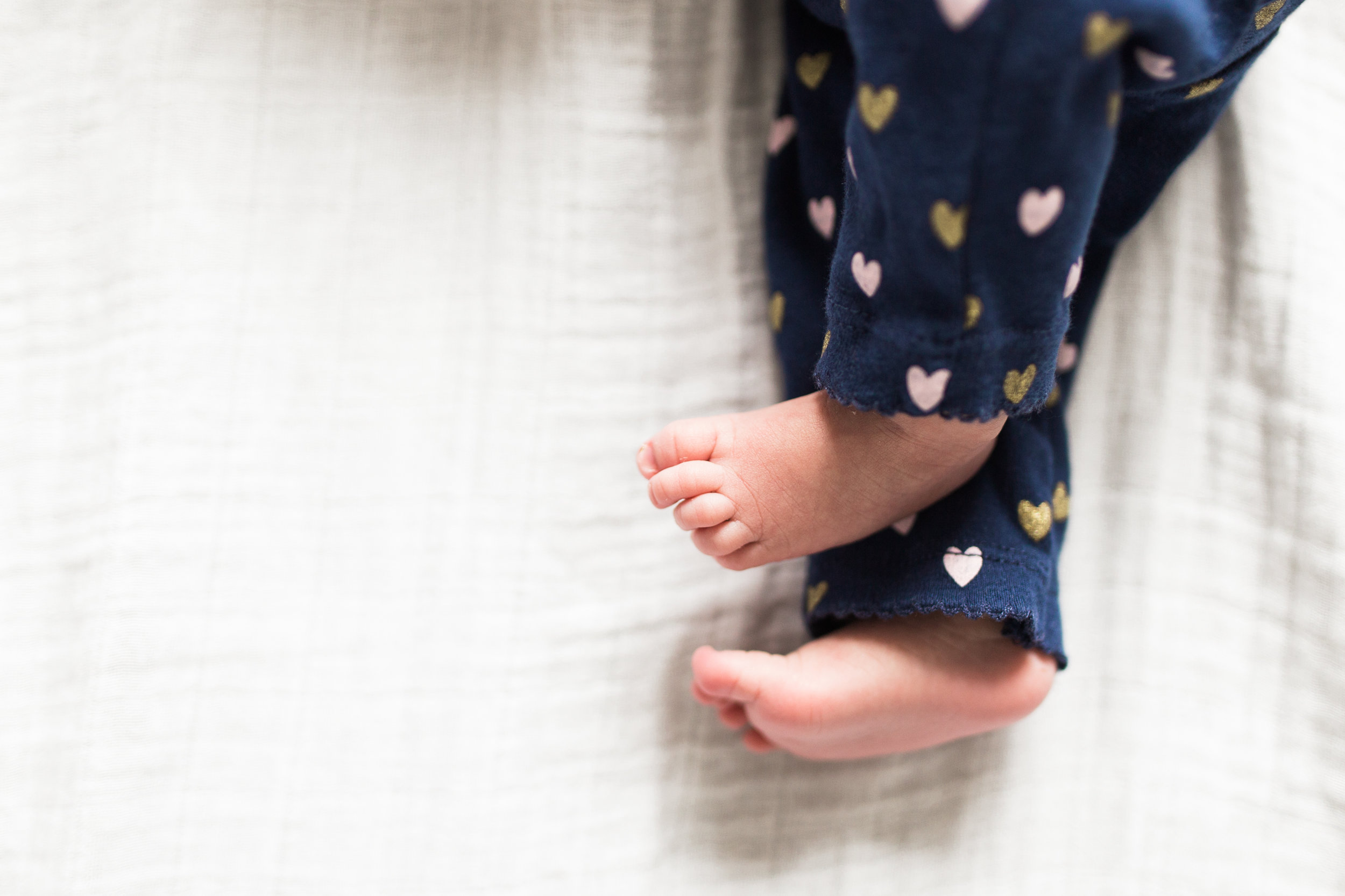 vanessa wyler newborn photography waukesha erin wisconsin