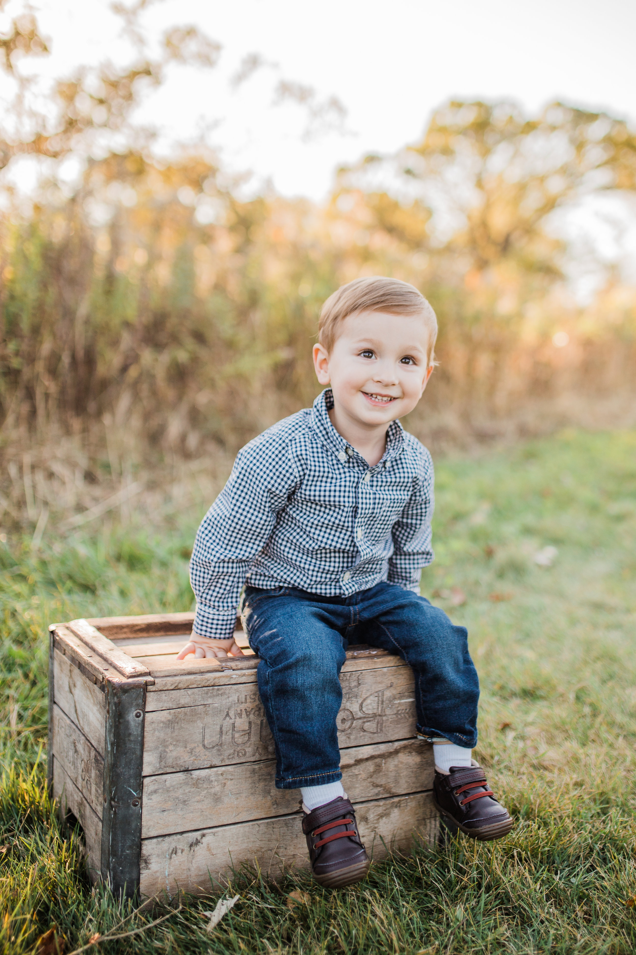 fall mini family photography session brookfield wisconsin vanessa wyler photography