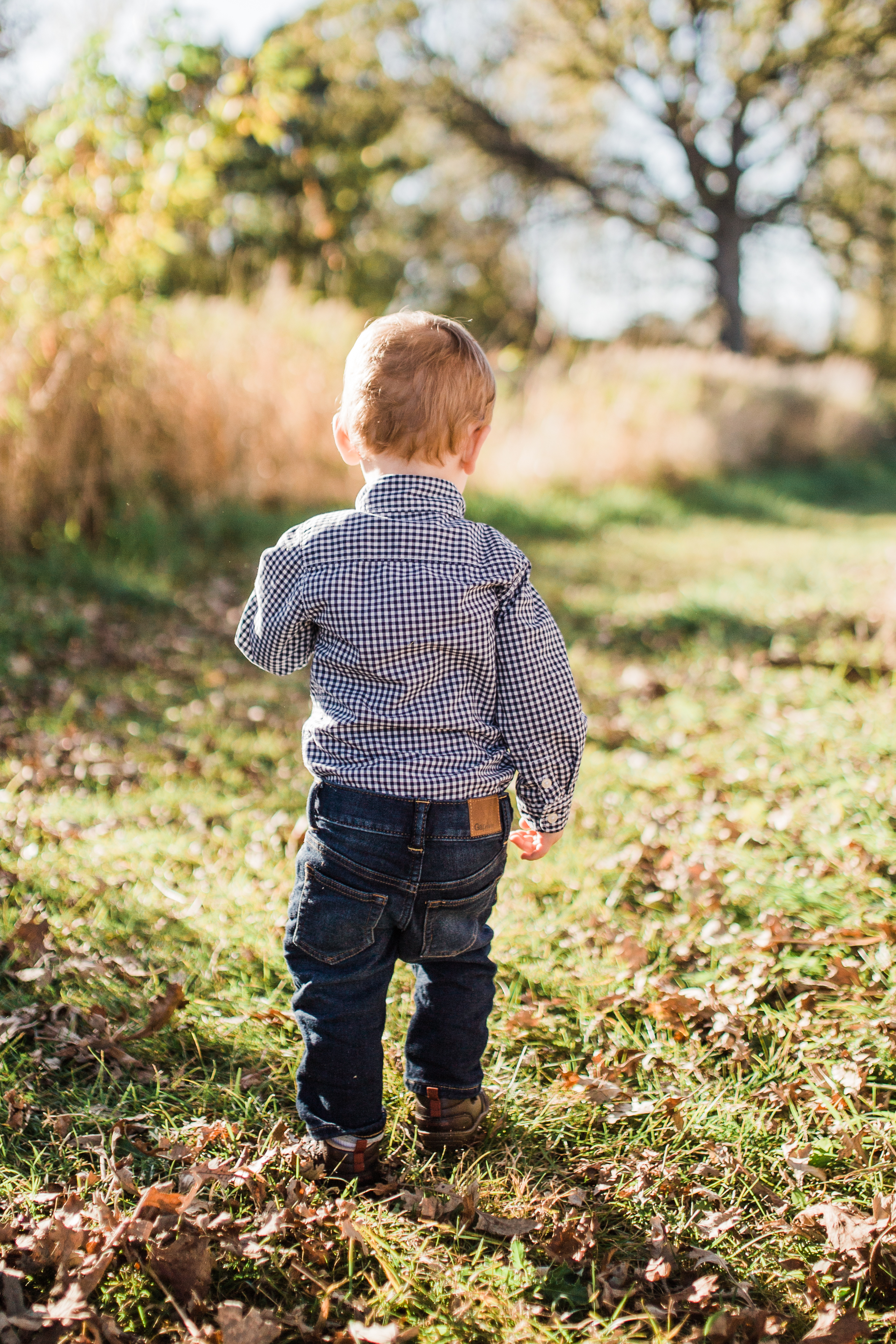 fall mini family photography session brookfield wisconsin vanessa wyler photography