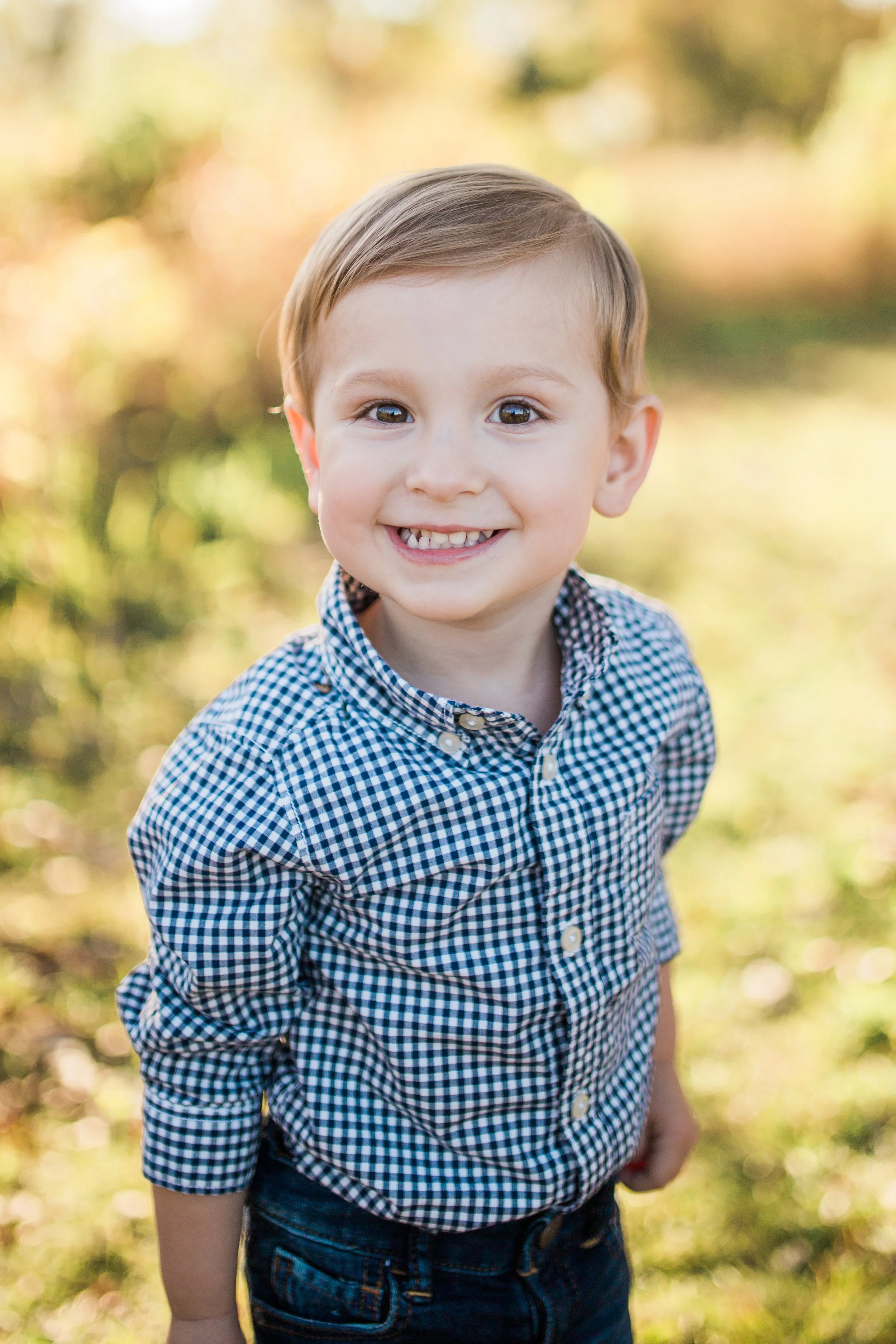 fall mini family photography session brookfield wisconsin vanessa wyler photography