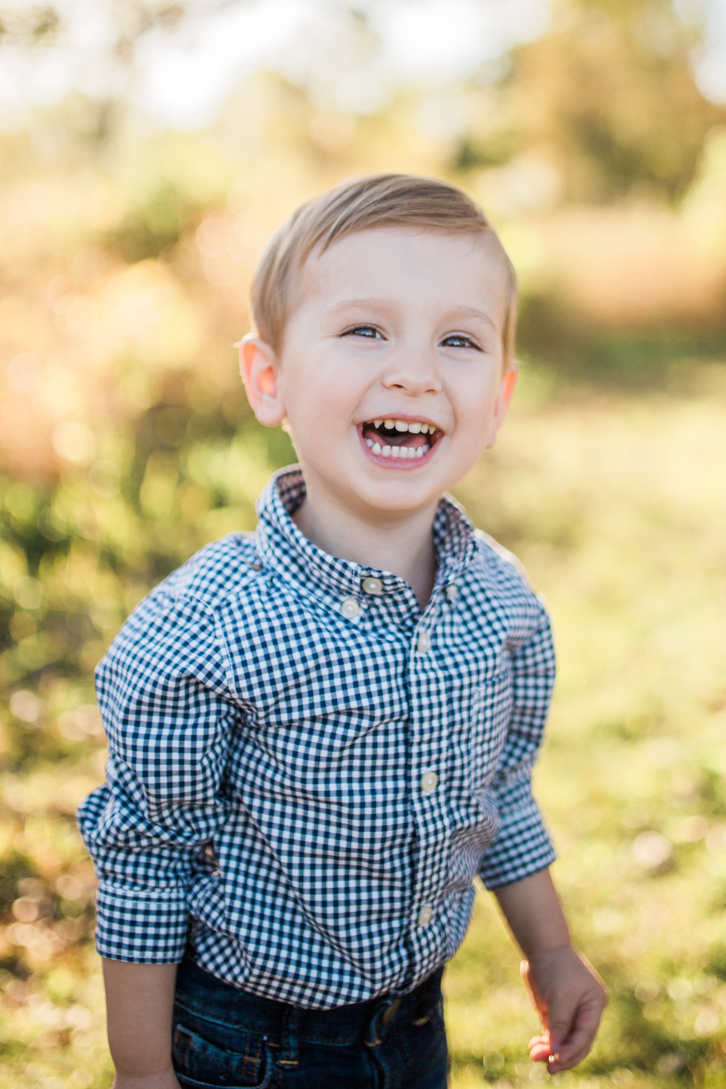 fall mini family photography session brookfield wisconsin vanessa wyler photography