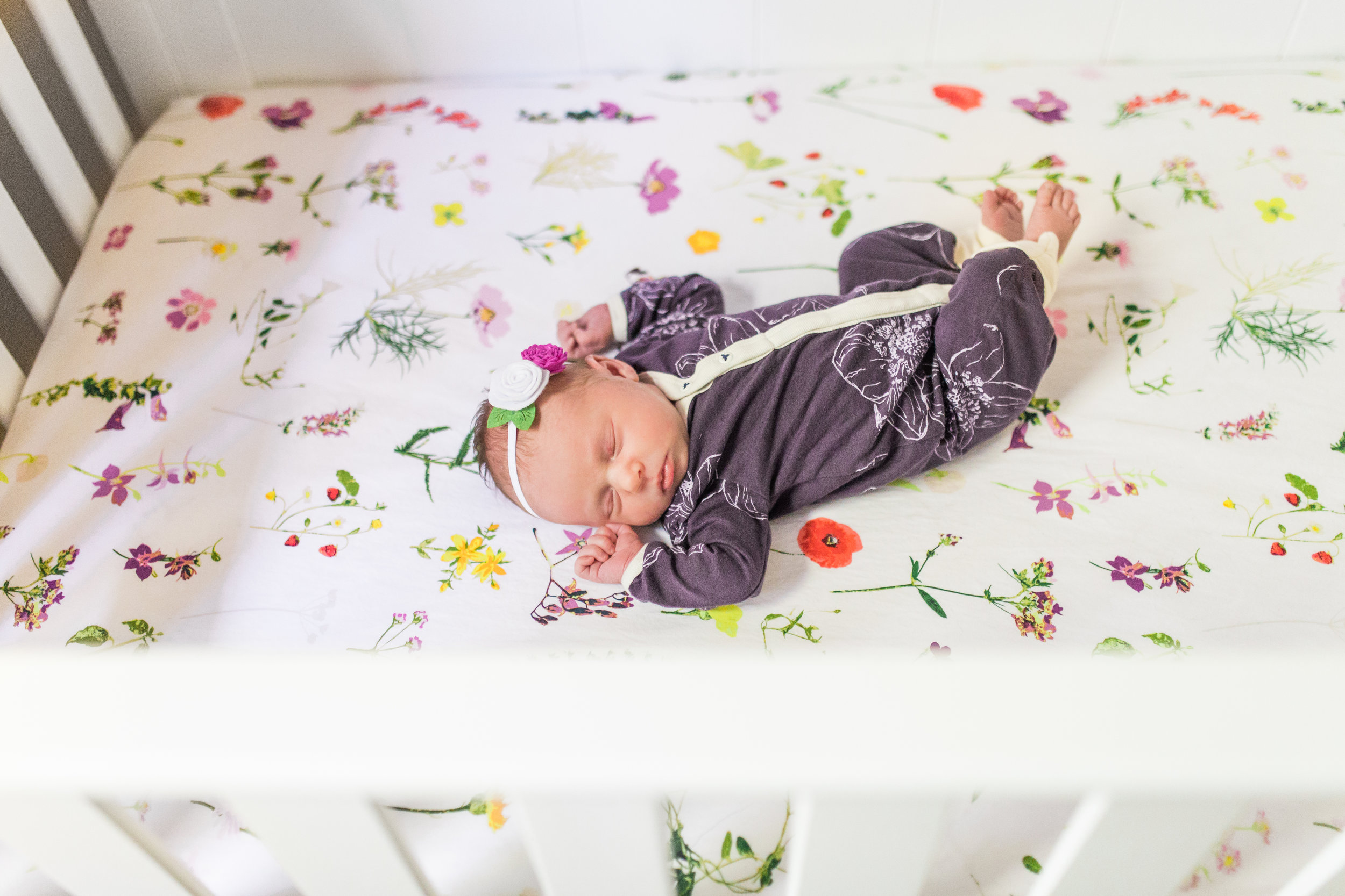 vanessa wyler photography pewaukee newborn lifestyle