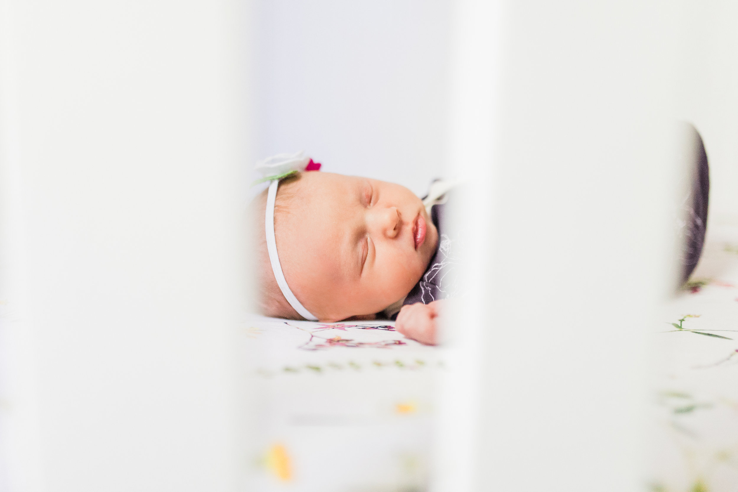 vanessa wyler photography pewaukee newborn lifestyle