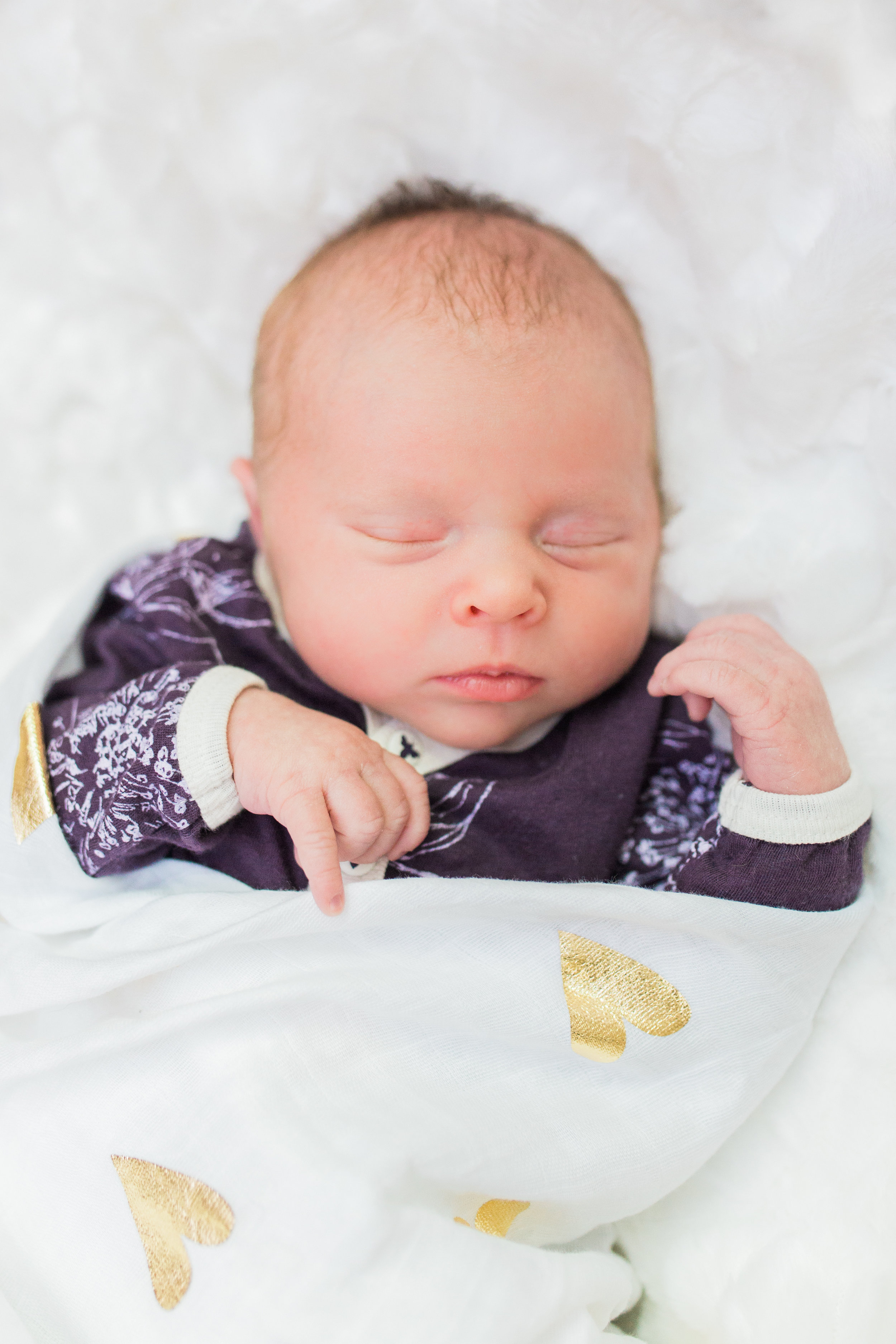 vanessa wyler photography pewaukee newborn lifestyle