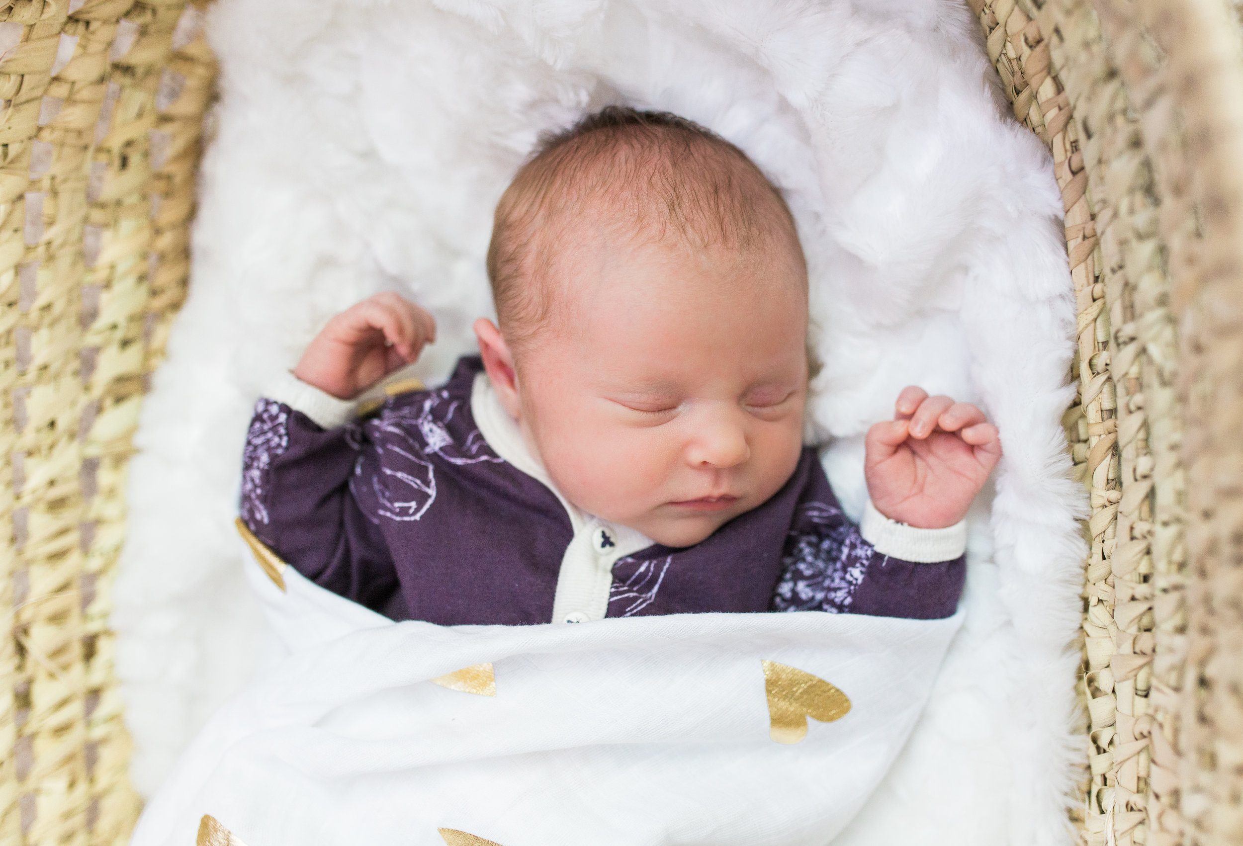 vanessa wyler photography pewaukee newborn lifestyle