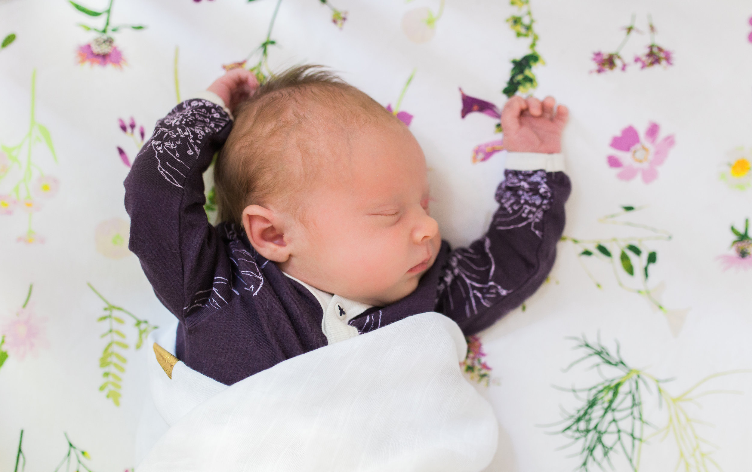 vanessa wyler photography pewaukee newborn lifestyle