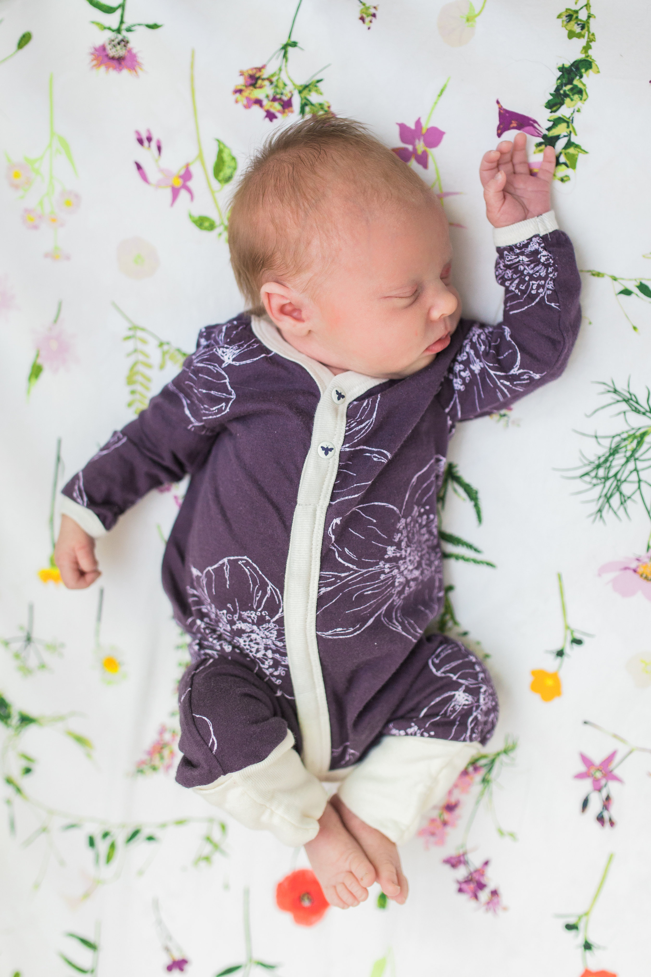 vanessa wyler photography pewaukee newborn lifestyle