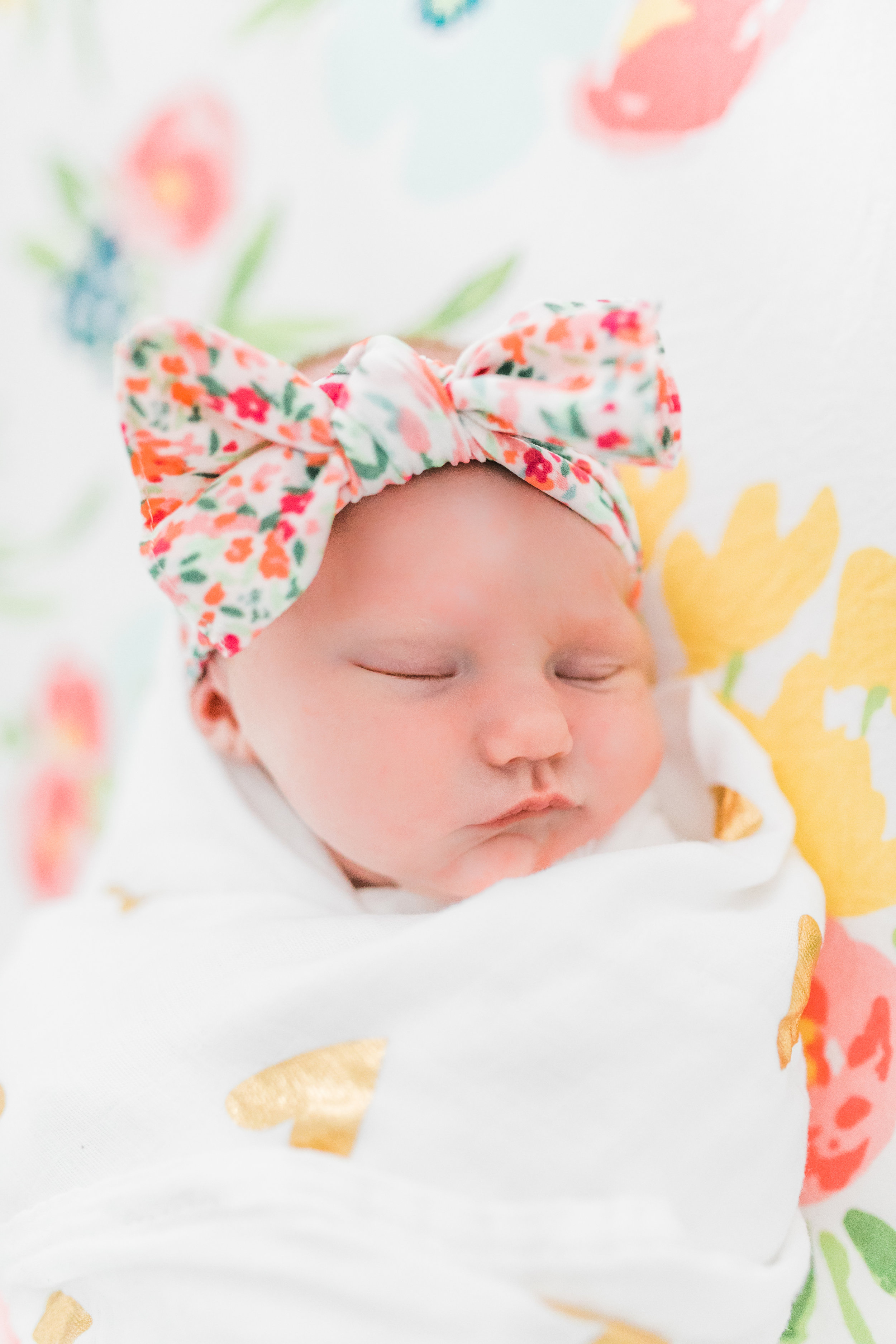 tosa newborn photography lifestyle vanessa wyler light airy film style