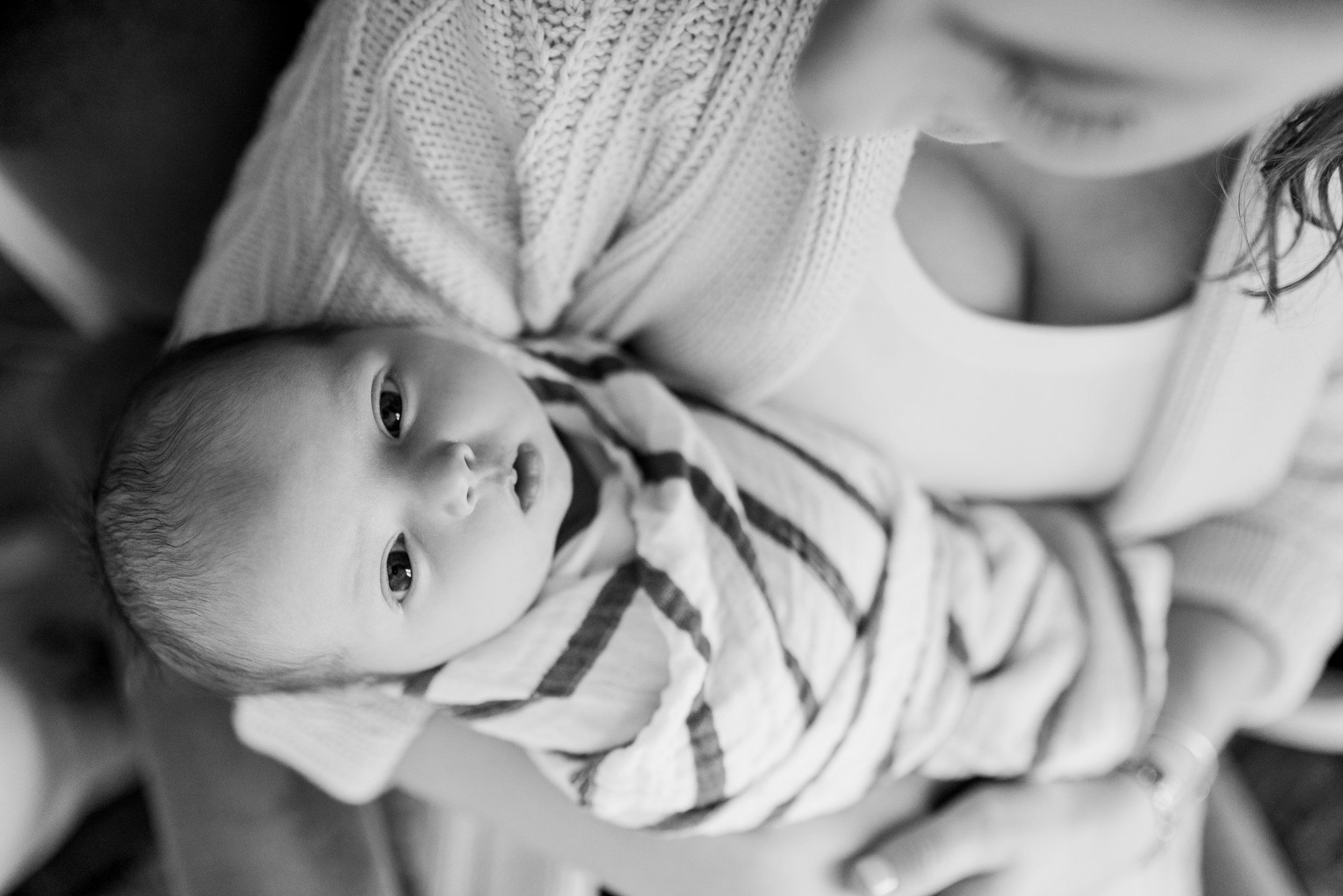 vanessa wyler pewaukee newborn photographer