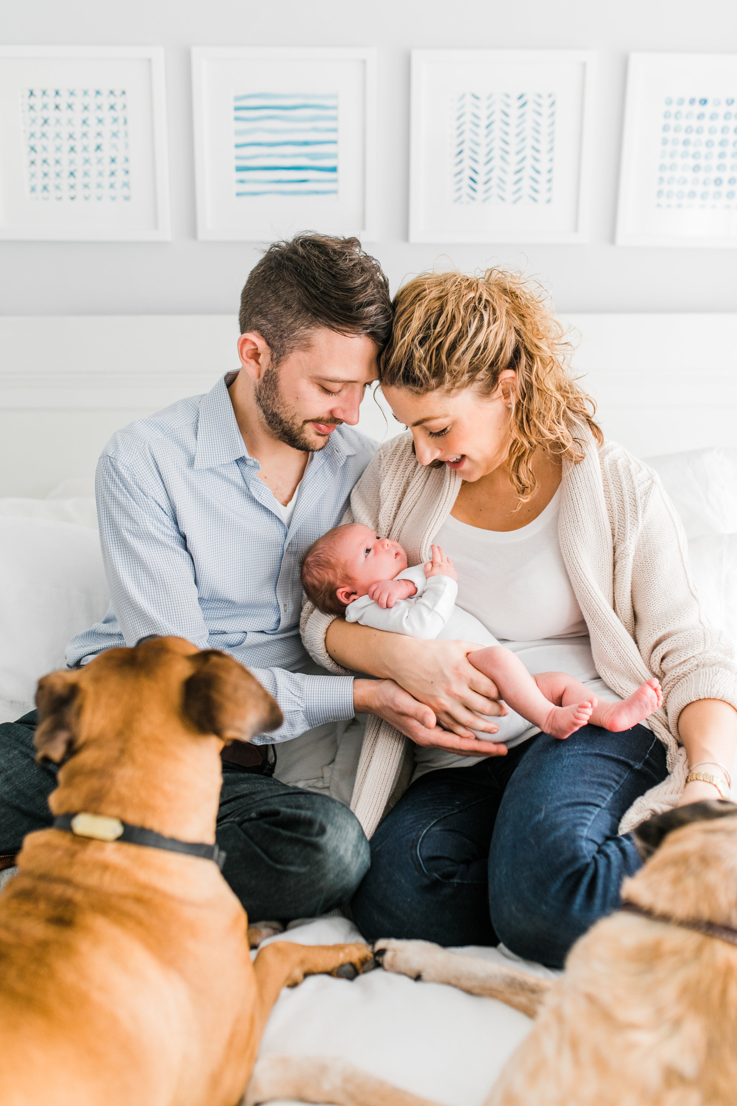 vanessa wyler pewaukee newborn photographer