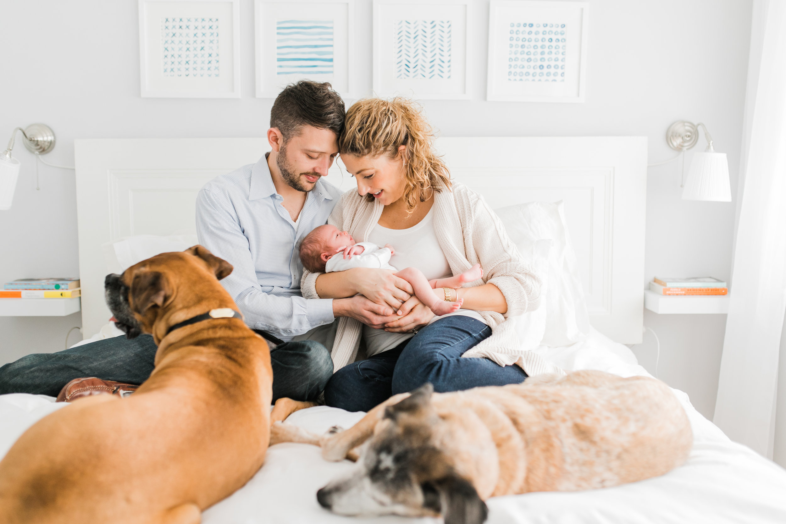 vanessa wyler pewaukee newborn photographer