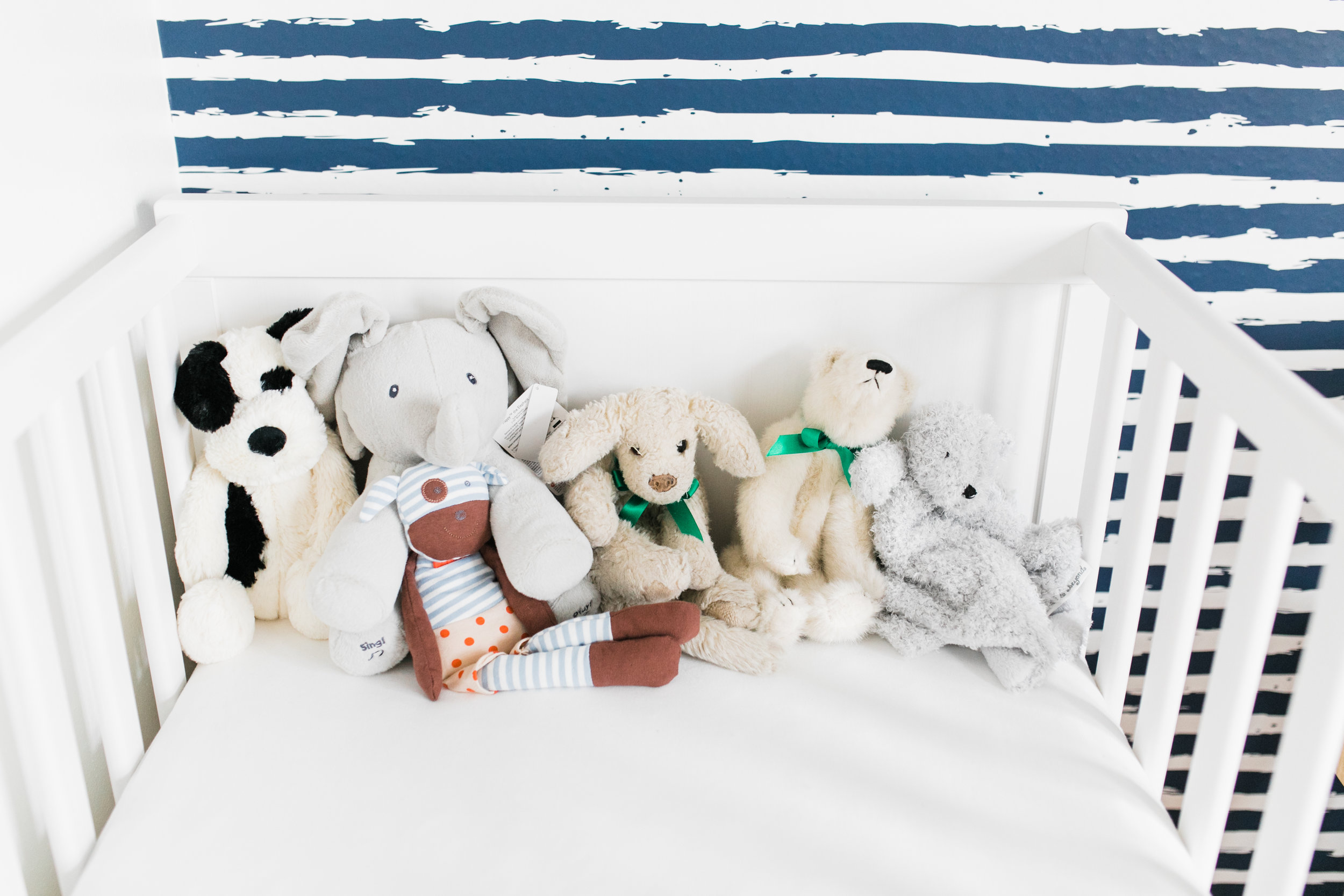 vanessa wyler pewaukee newborn photographer