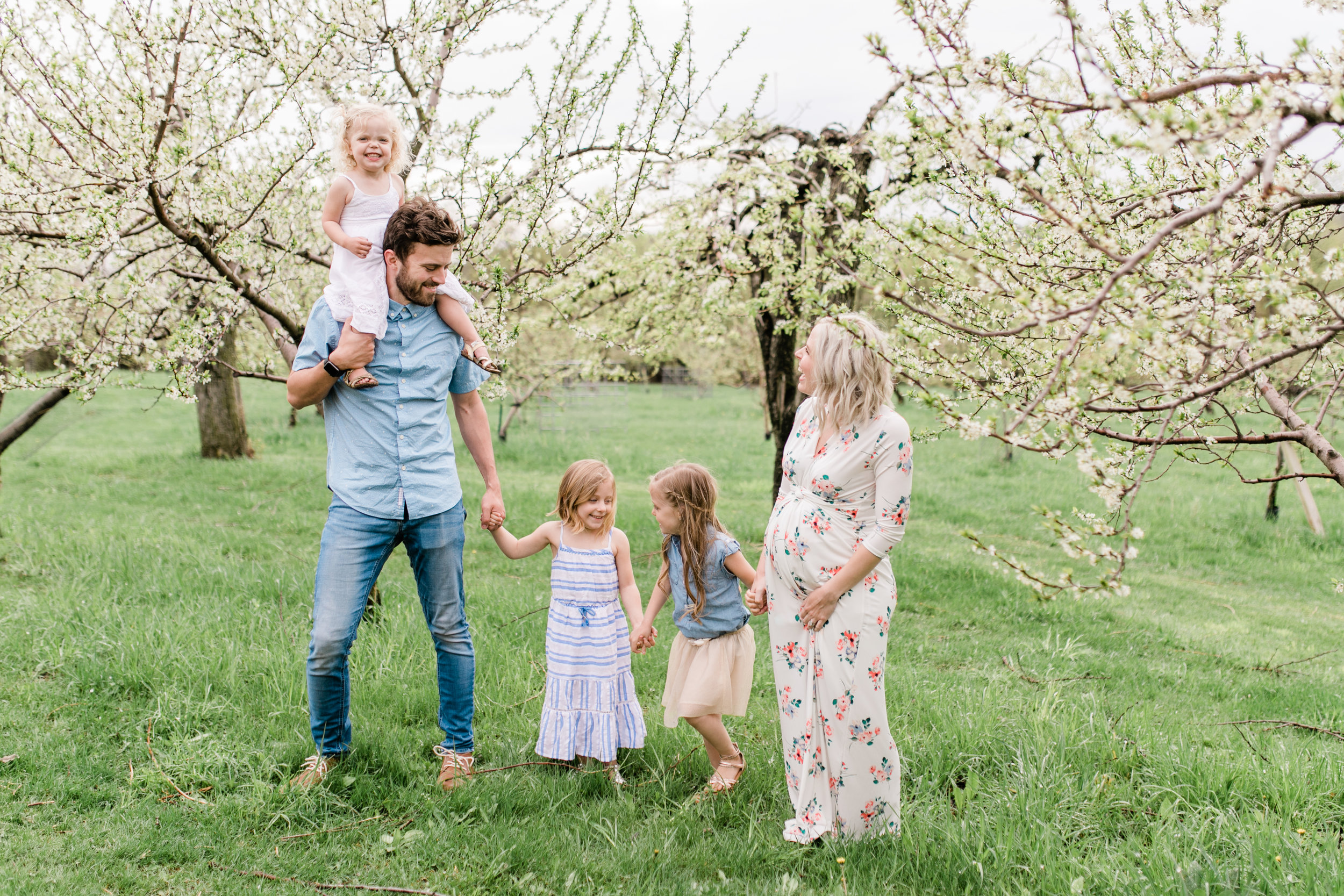 apple orchard photography maternity vanessa wyler pewaukee photographerapple orchard photography maternity vanessa wyler pewaukee photographer