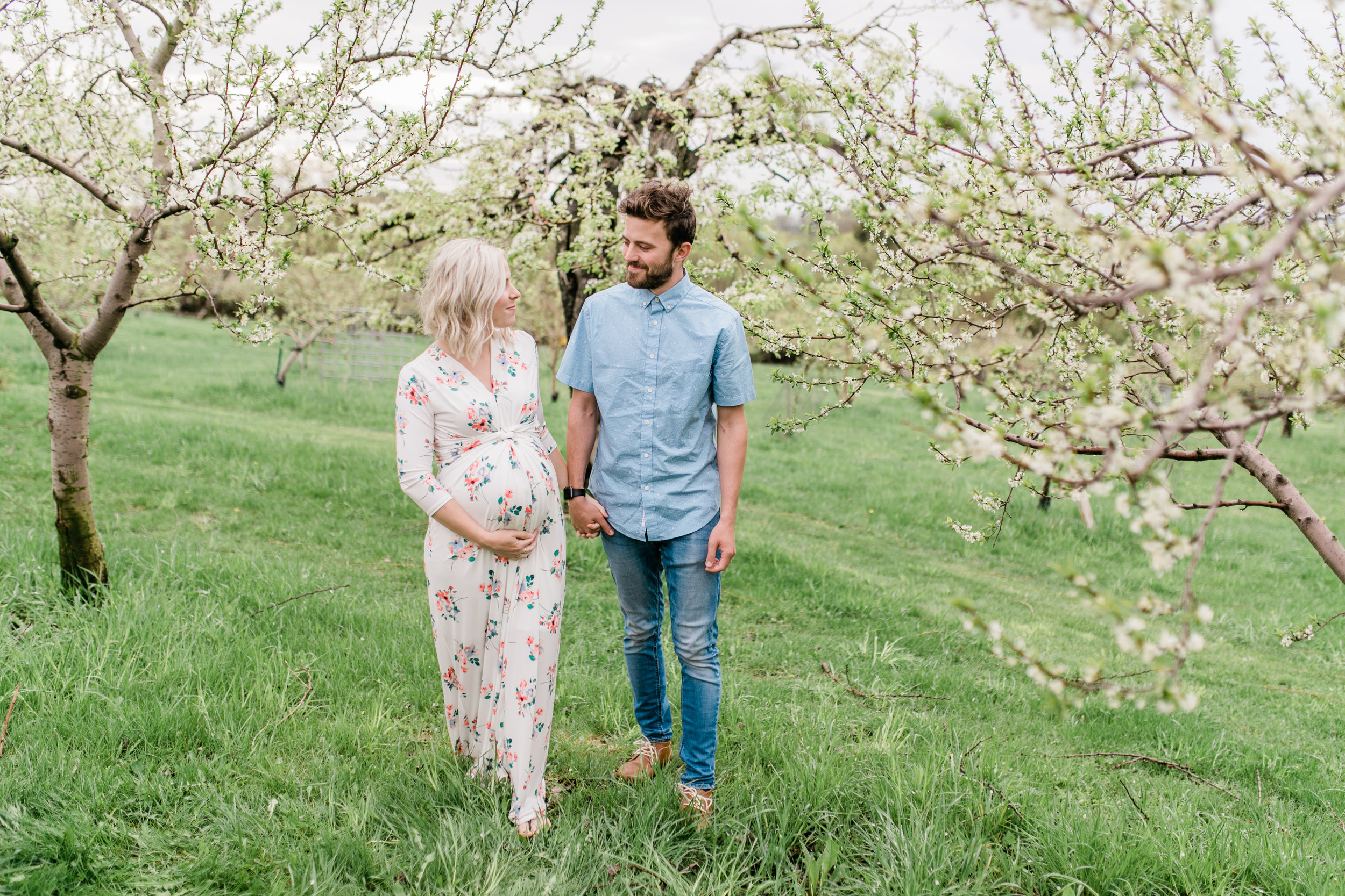 apple orchard photography maternity vanessa wyler pewaukee photographer