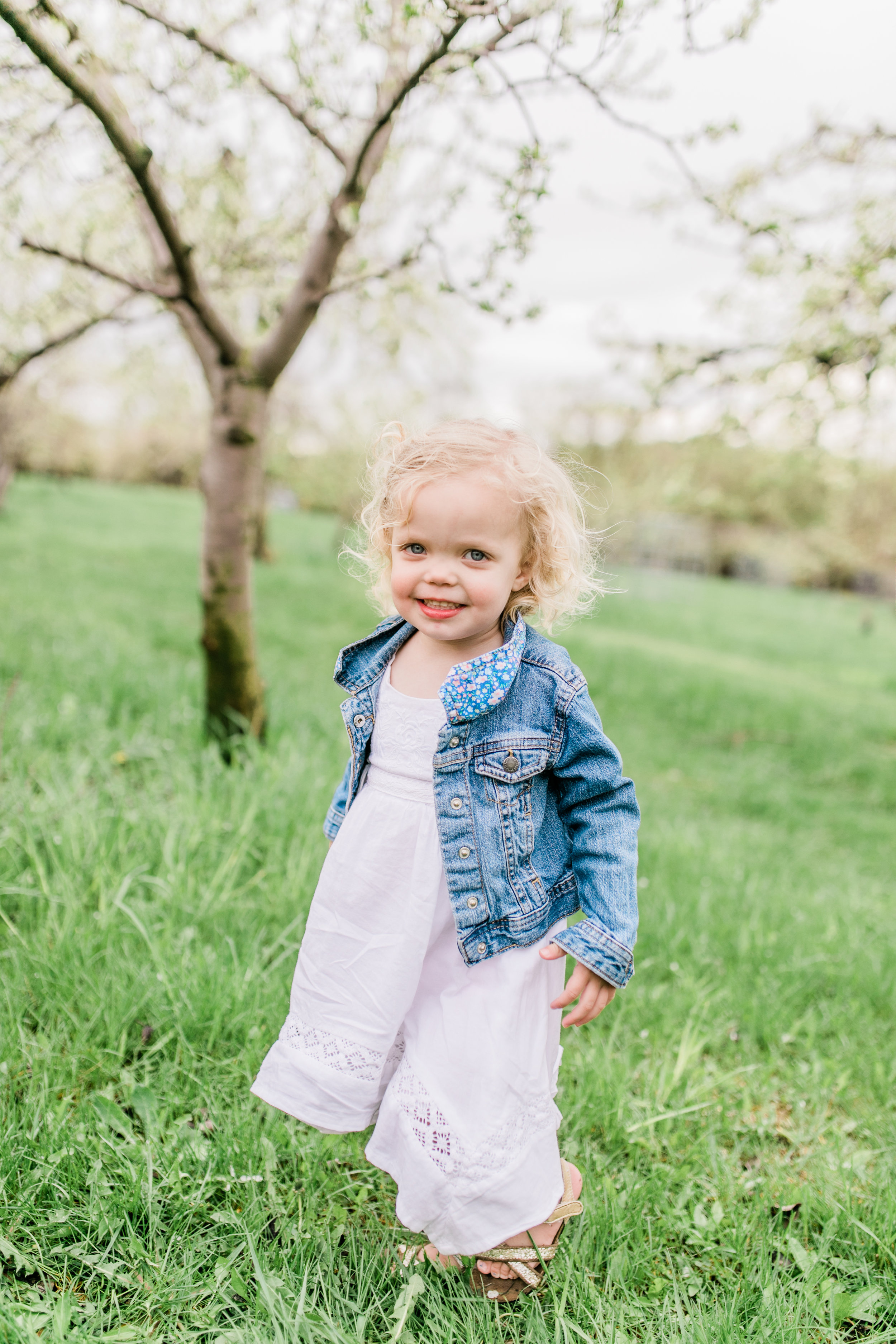 apple orchard photography maternity vanessa wyler pewaukee photographer