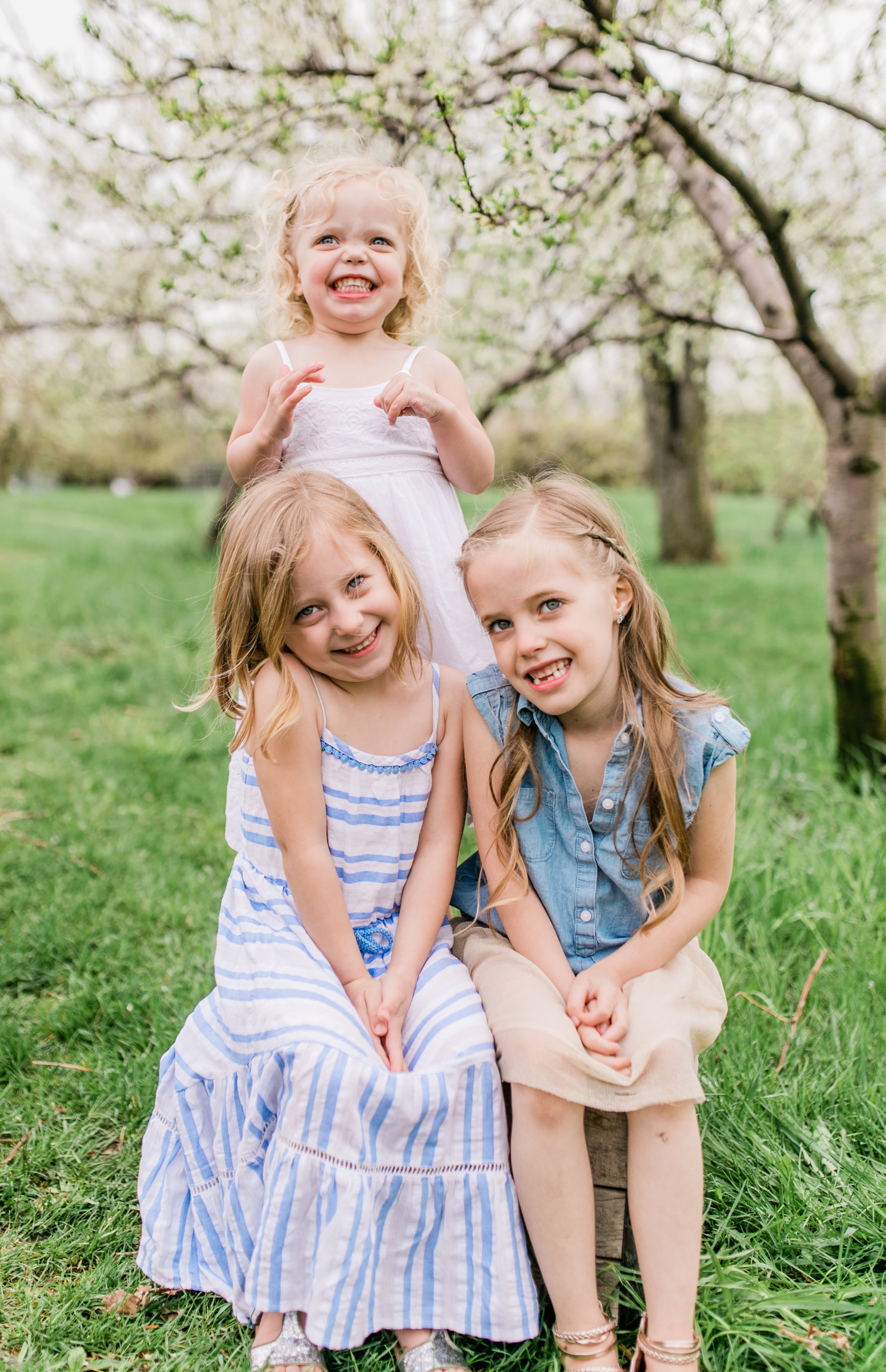 apple orchard photography maternity vanessa wyler pewaukee photographer