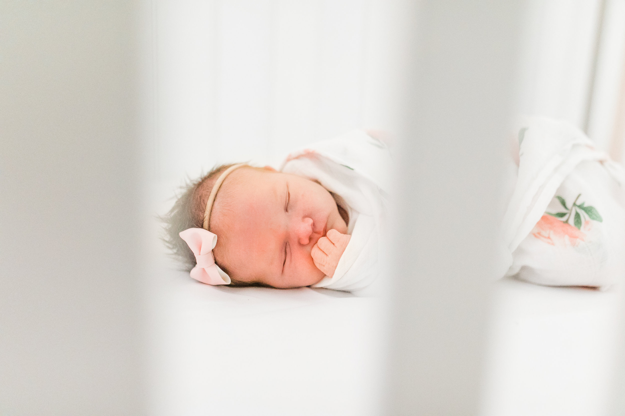 vanessa wyler waukesha newborn photography