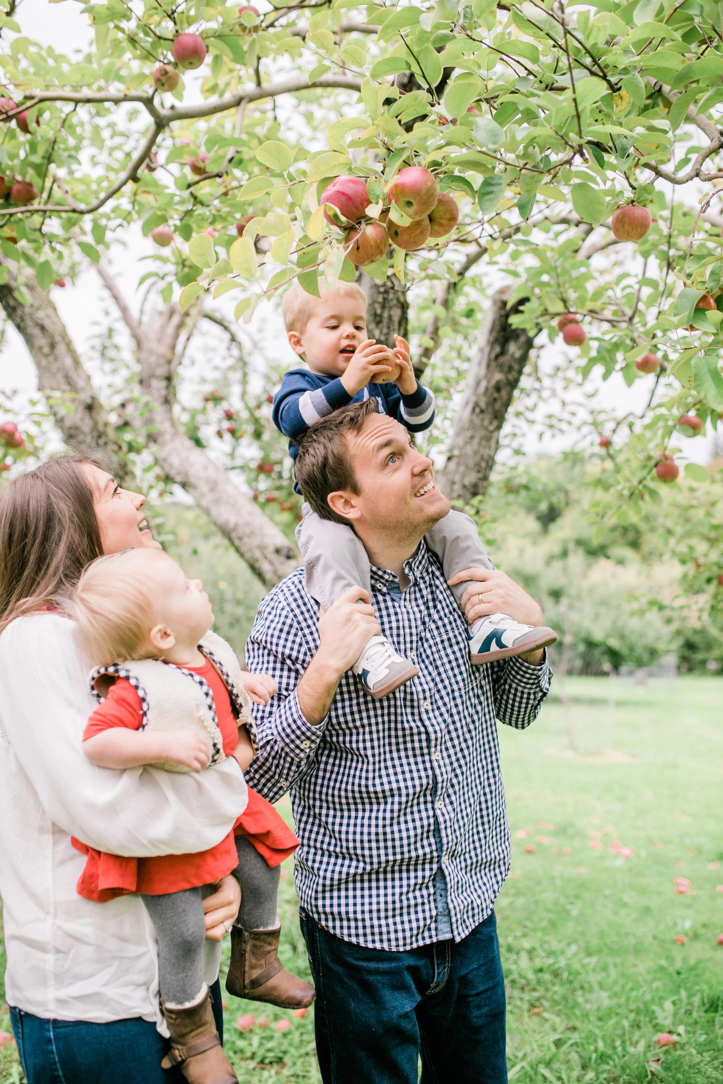 apple orchard photography waukesha vanessa wyler