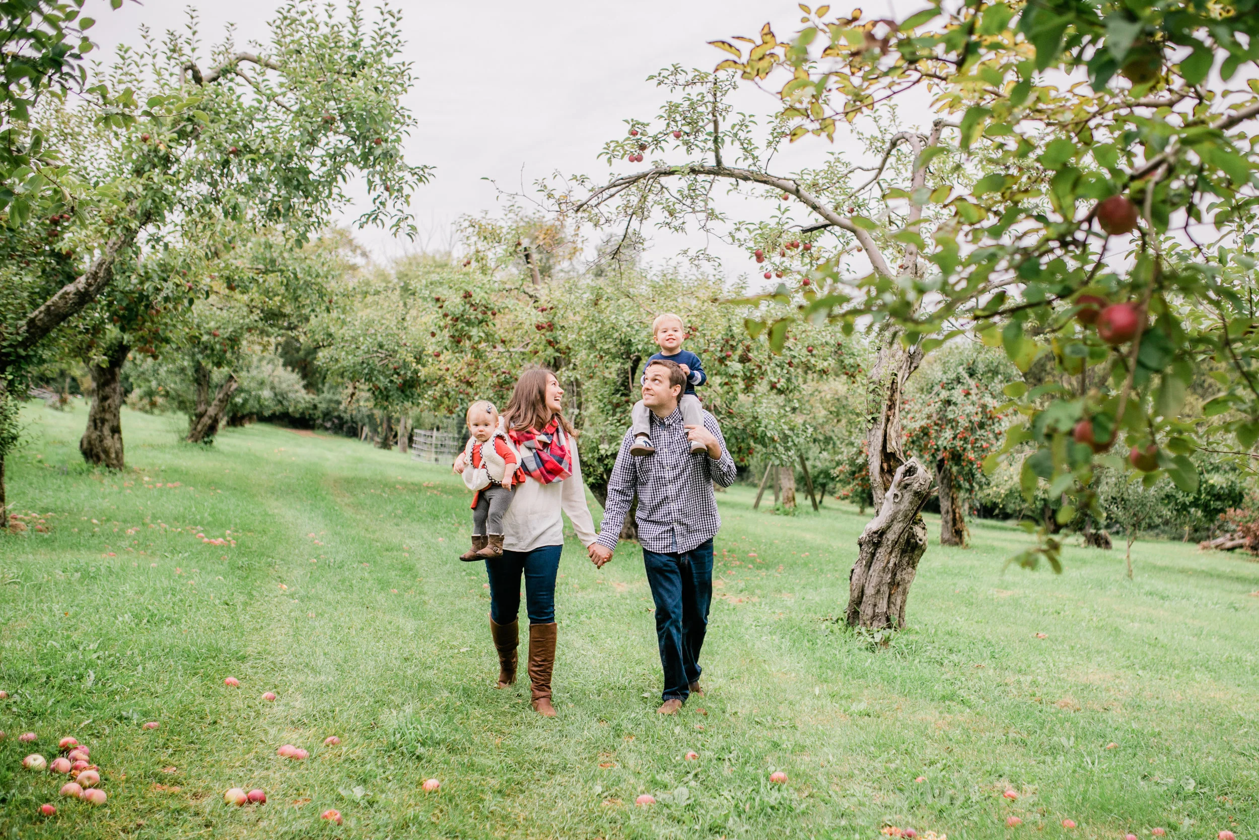 apple orchard photography waukesha vanessa wyler