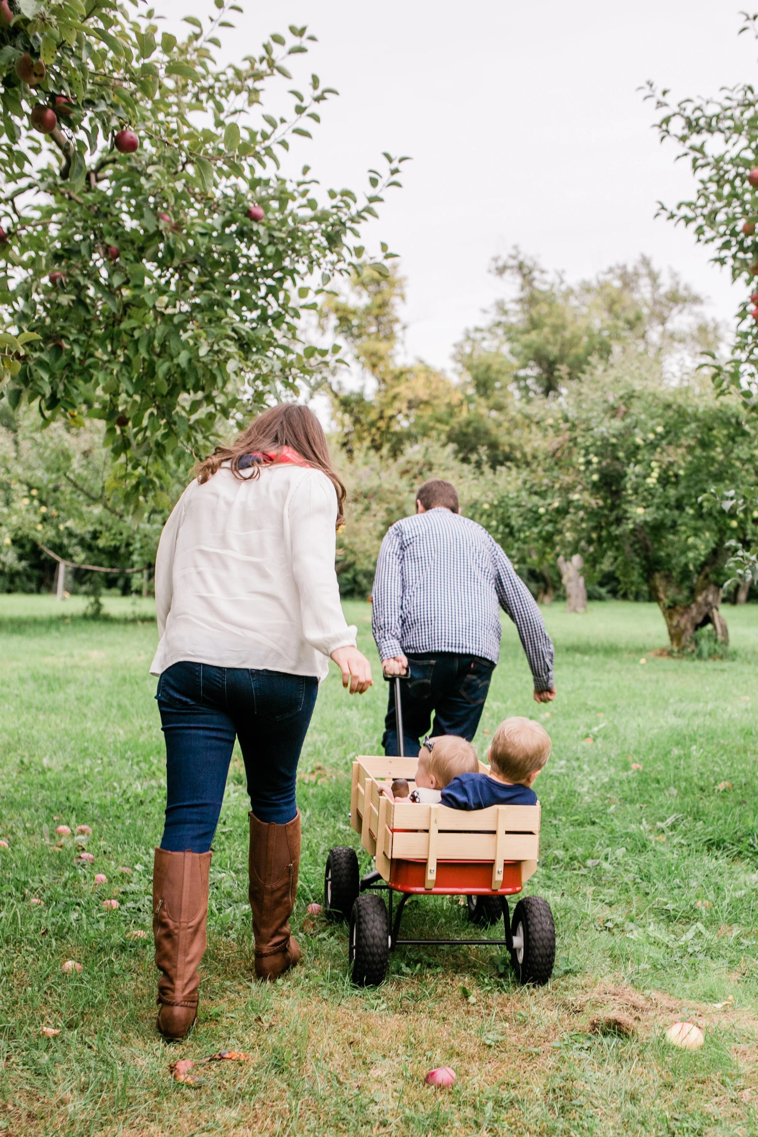 apple orchard photography waukesha vanessa wyler