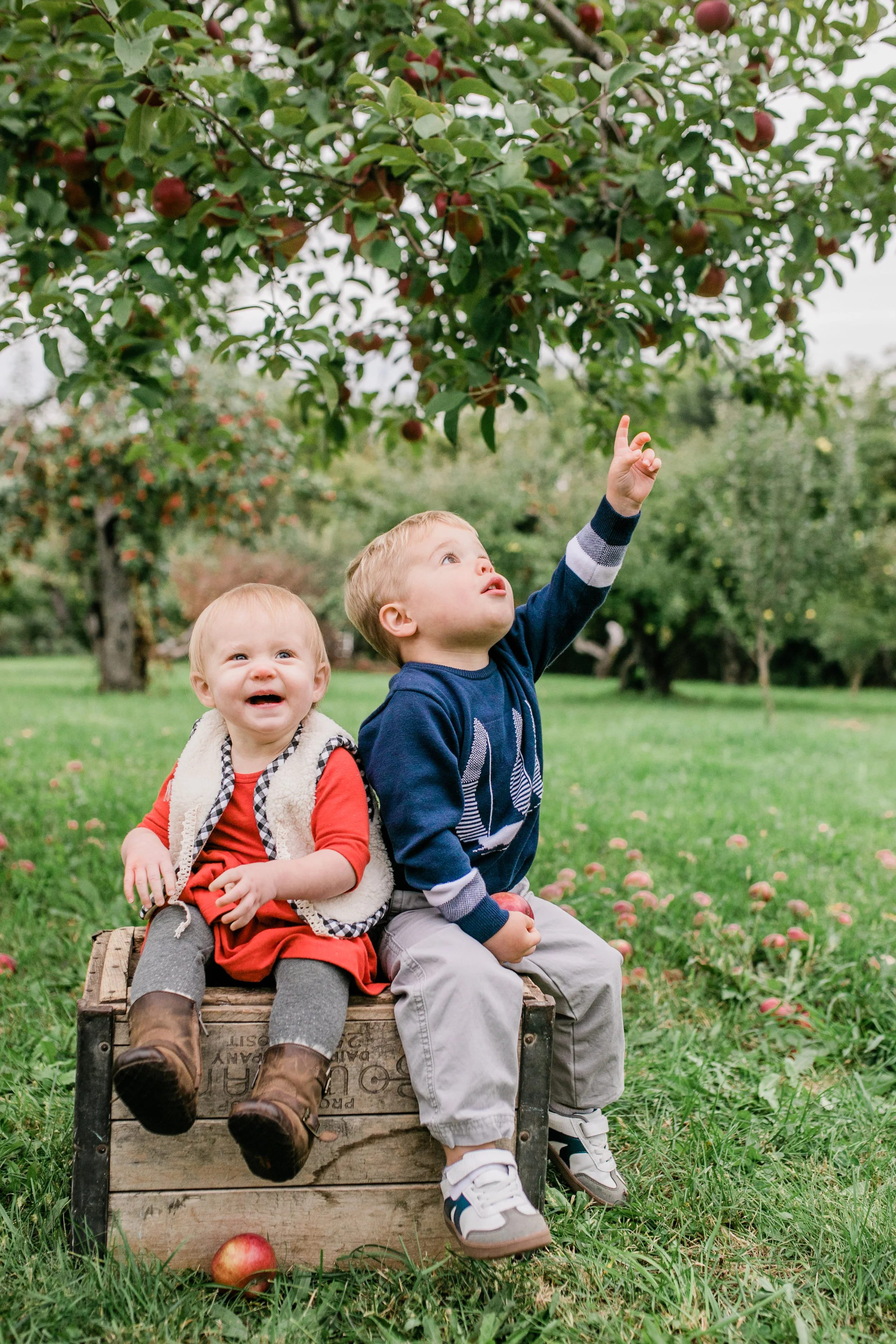 apple orchard photography waukesha vanessa wyler