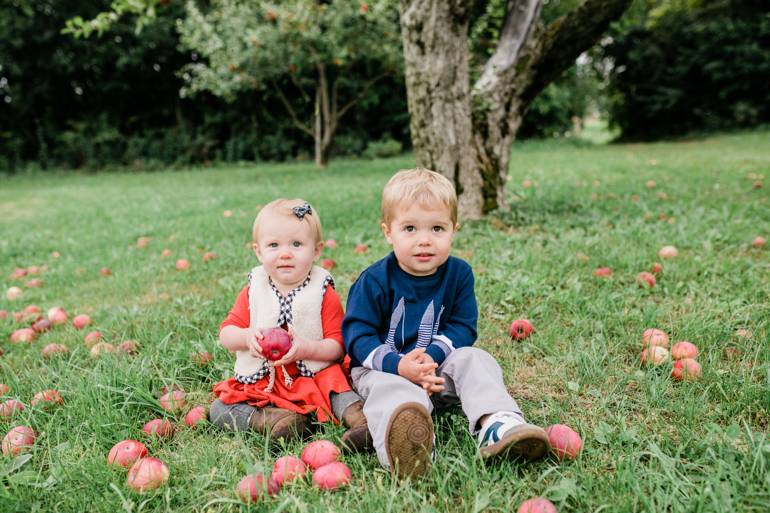 apple orchard photography waukesha vanessa wyler