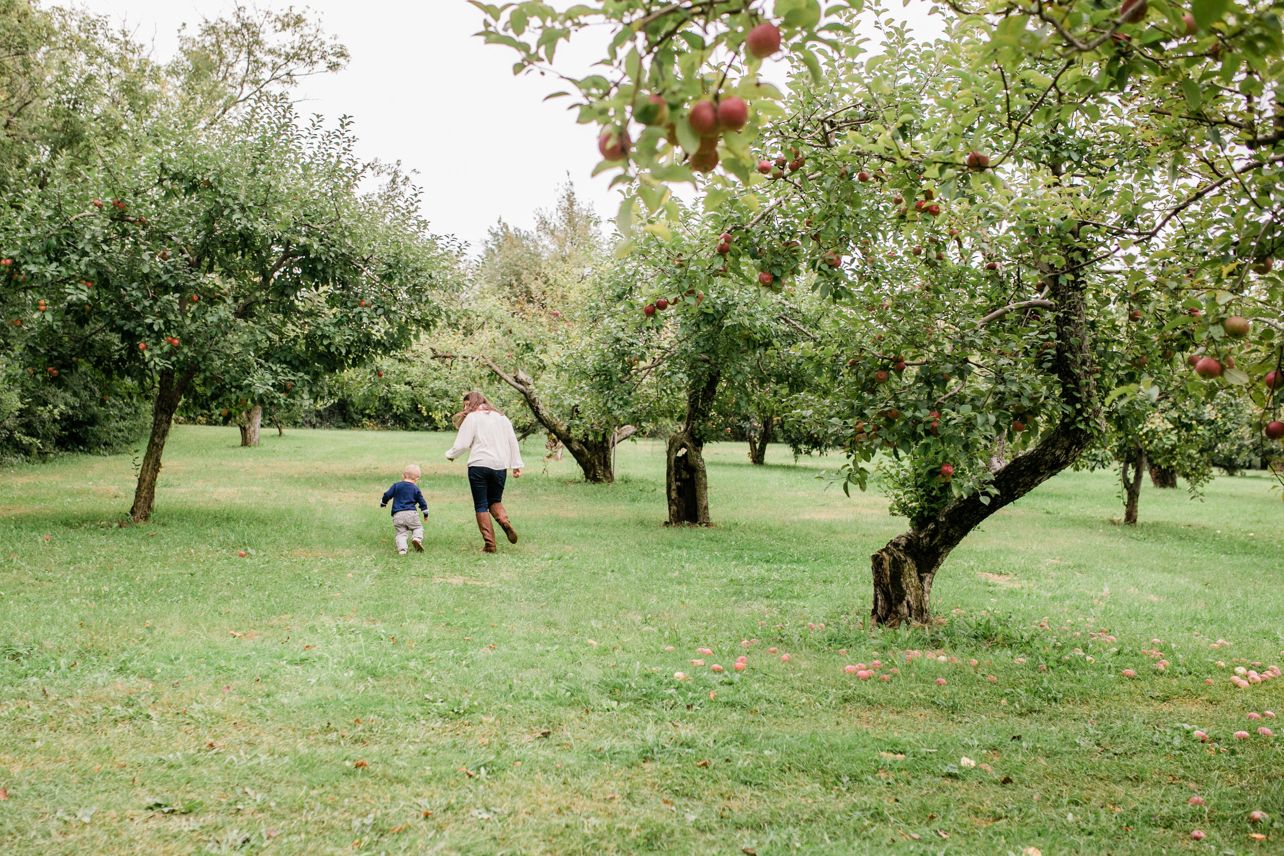 apple orchard photography waukesha vanessa wyler