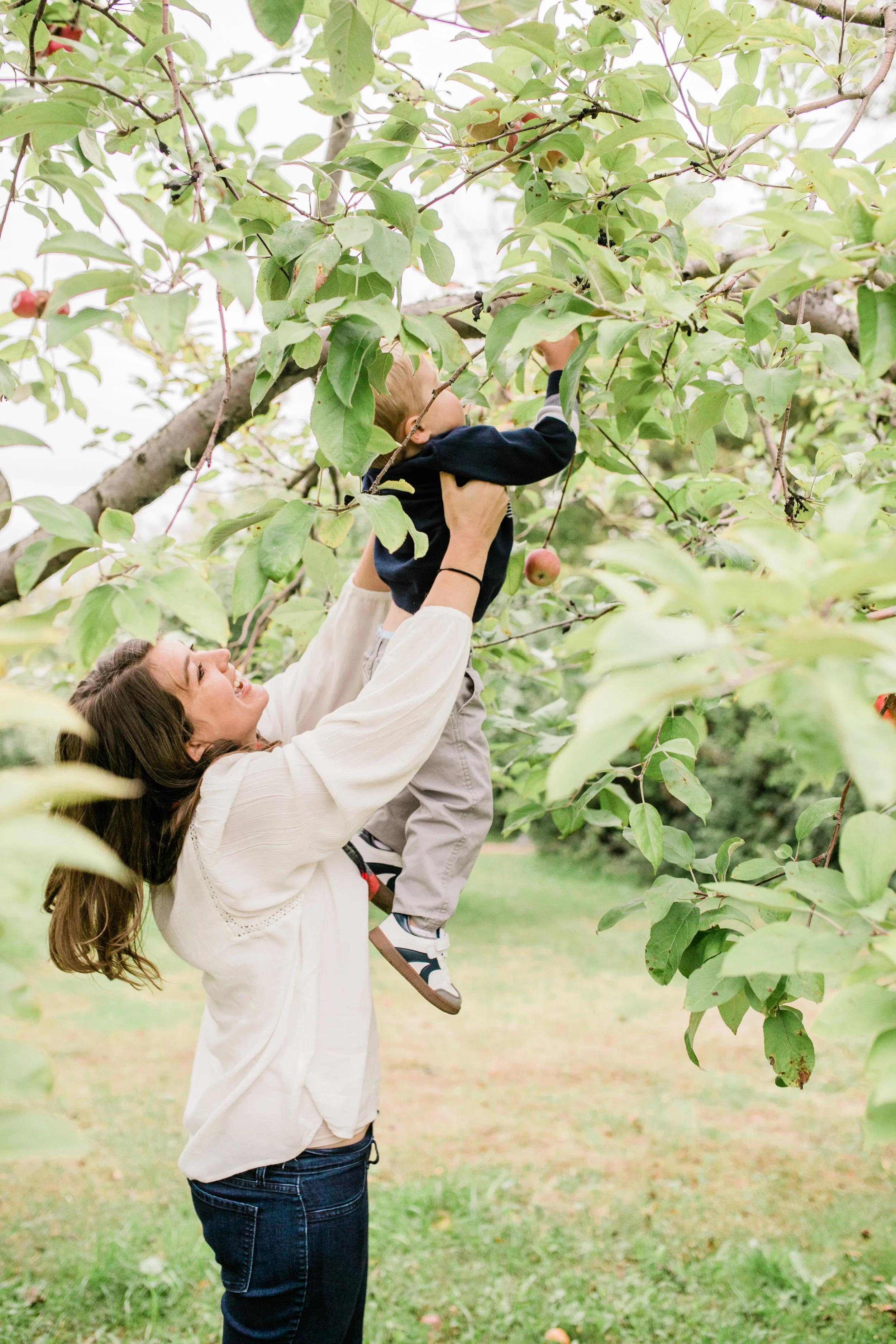 apple orchard photography waukesha vanessa wyler