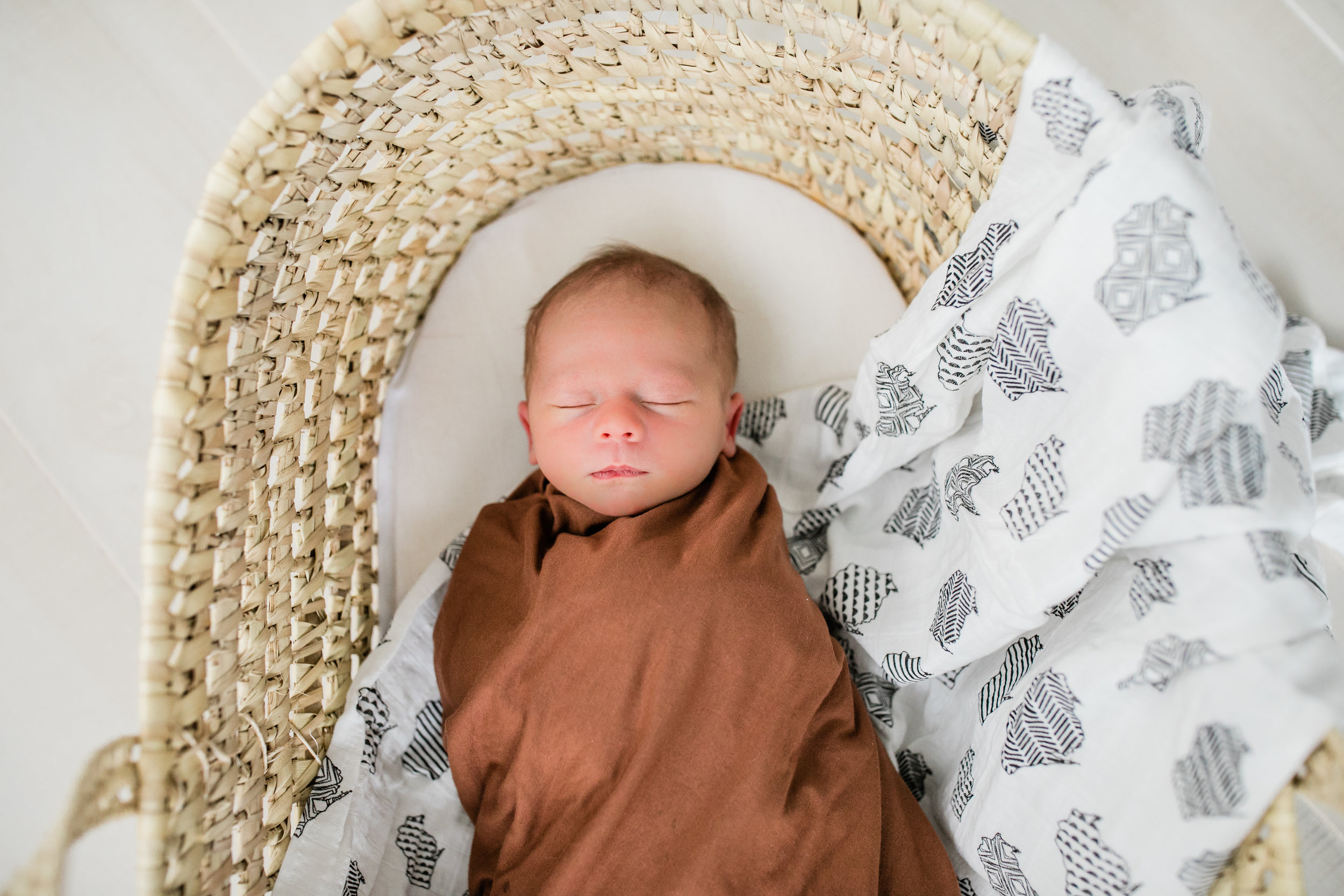 vanessa wyler pewaukee waukesha newborn photography